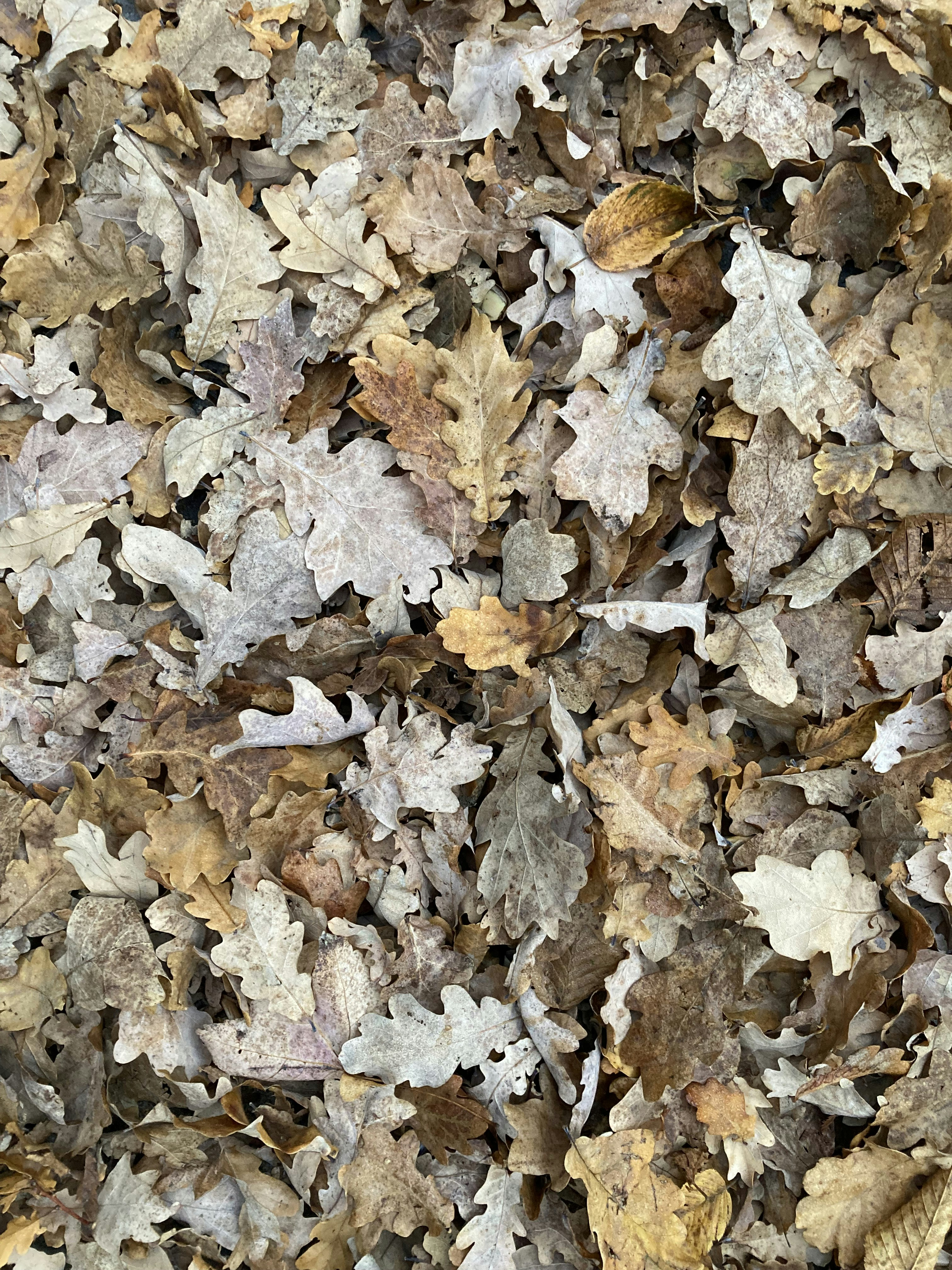 Photo by mehmetdemiral