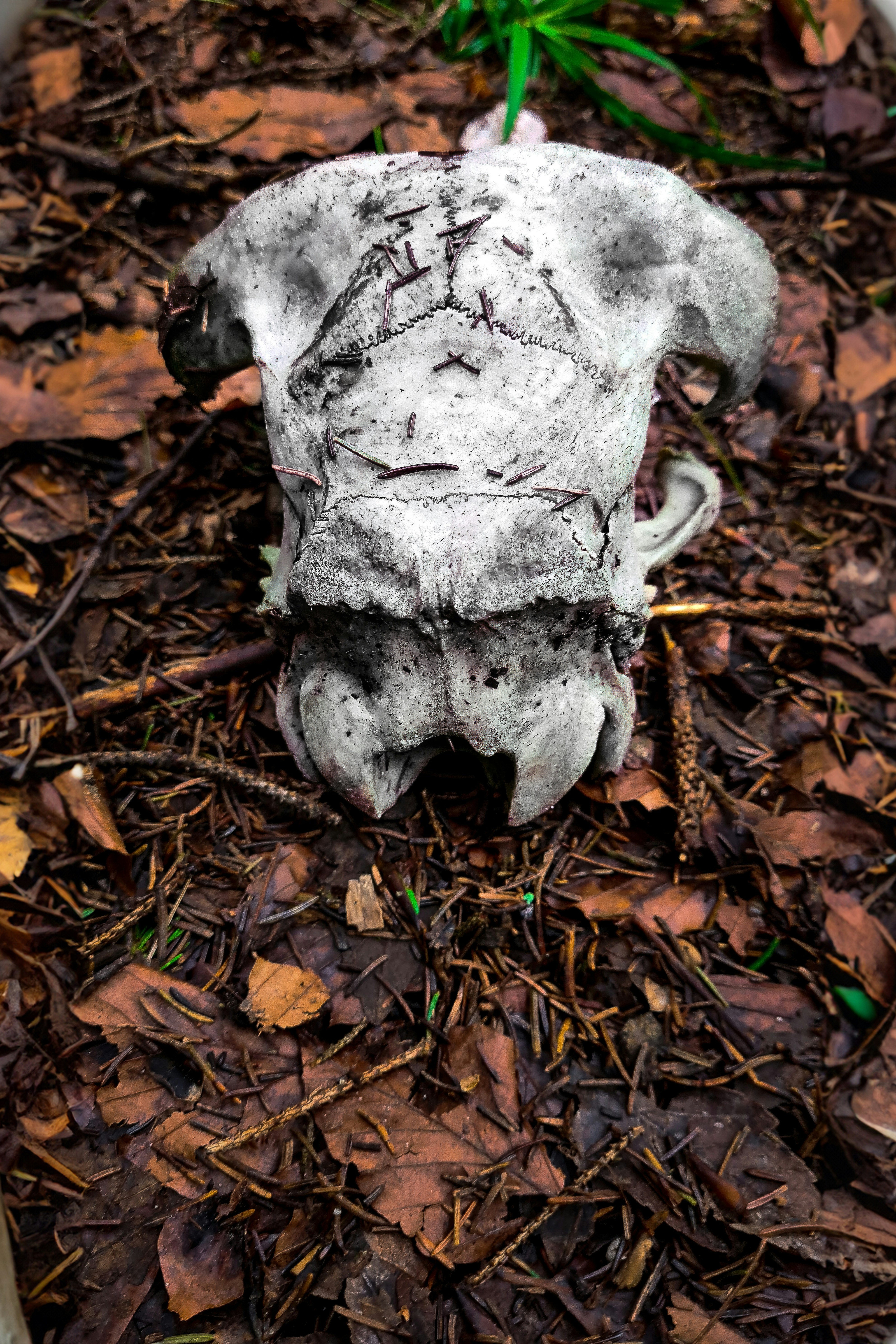 Photo by patrick_von_der_wehd