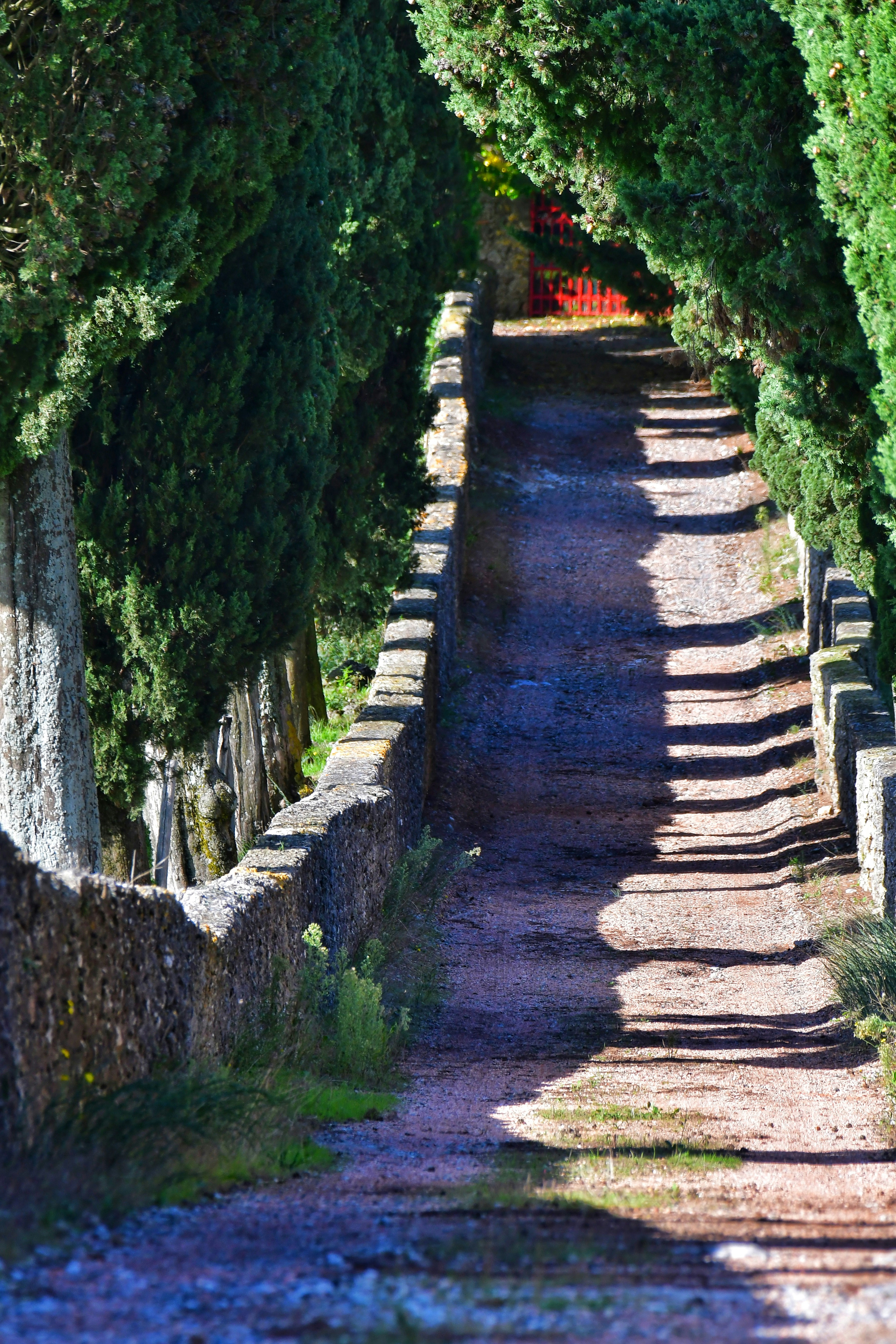 Photo by pedrino5_official