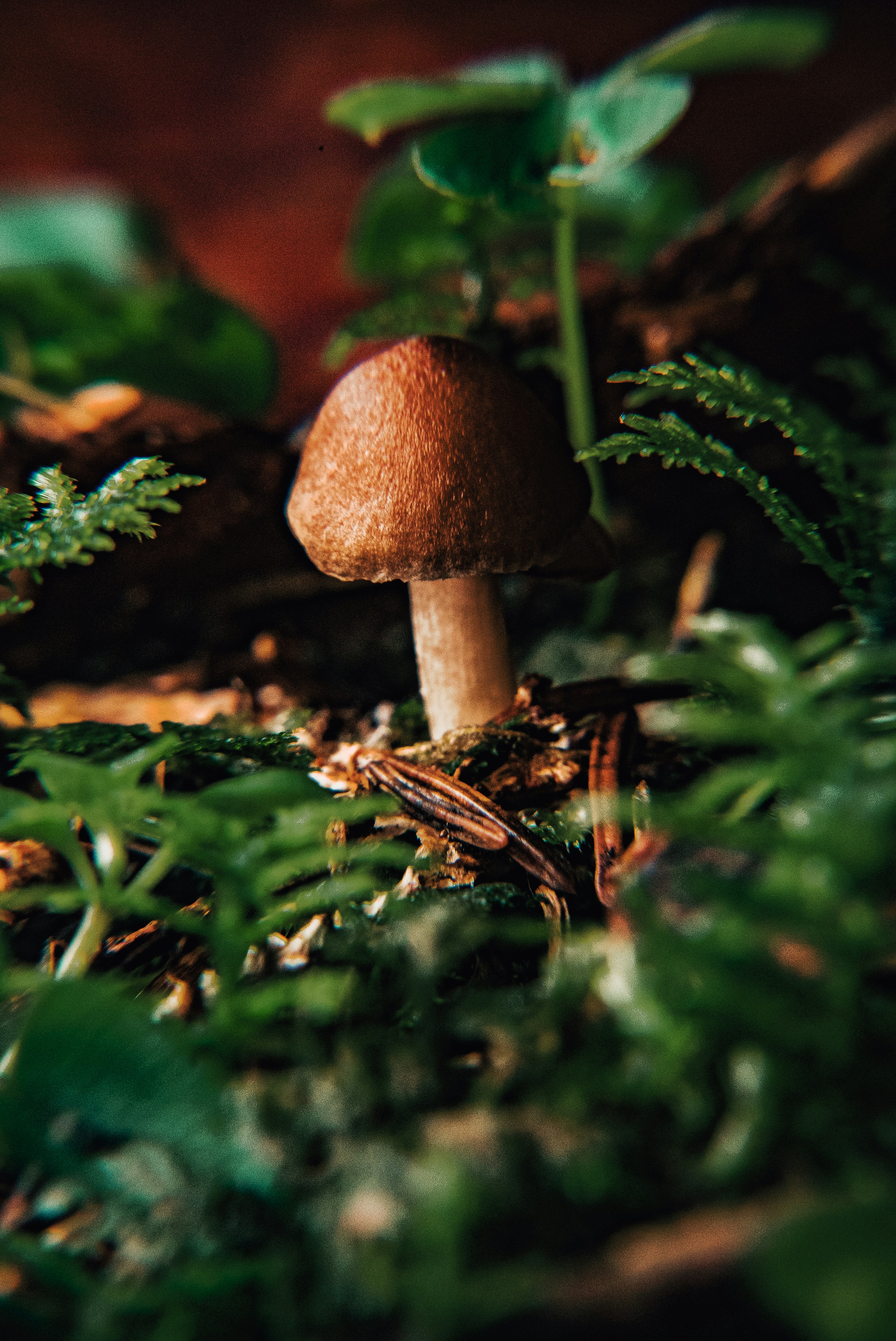 Photo by patrick_von_der_wehd