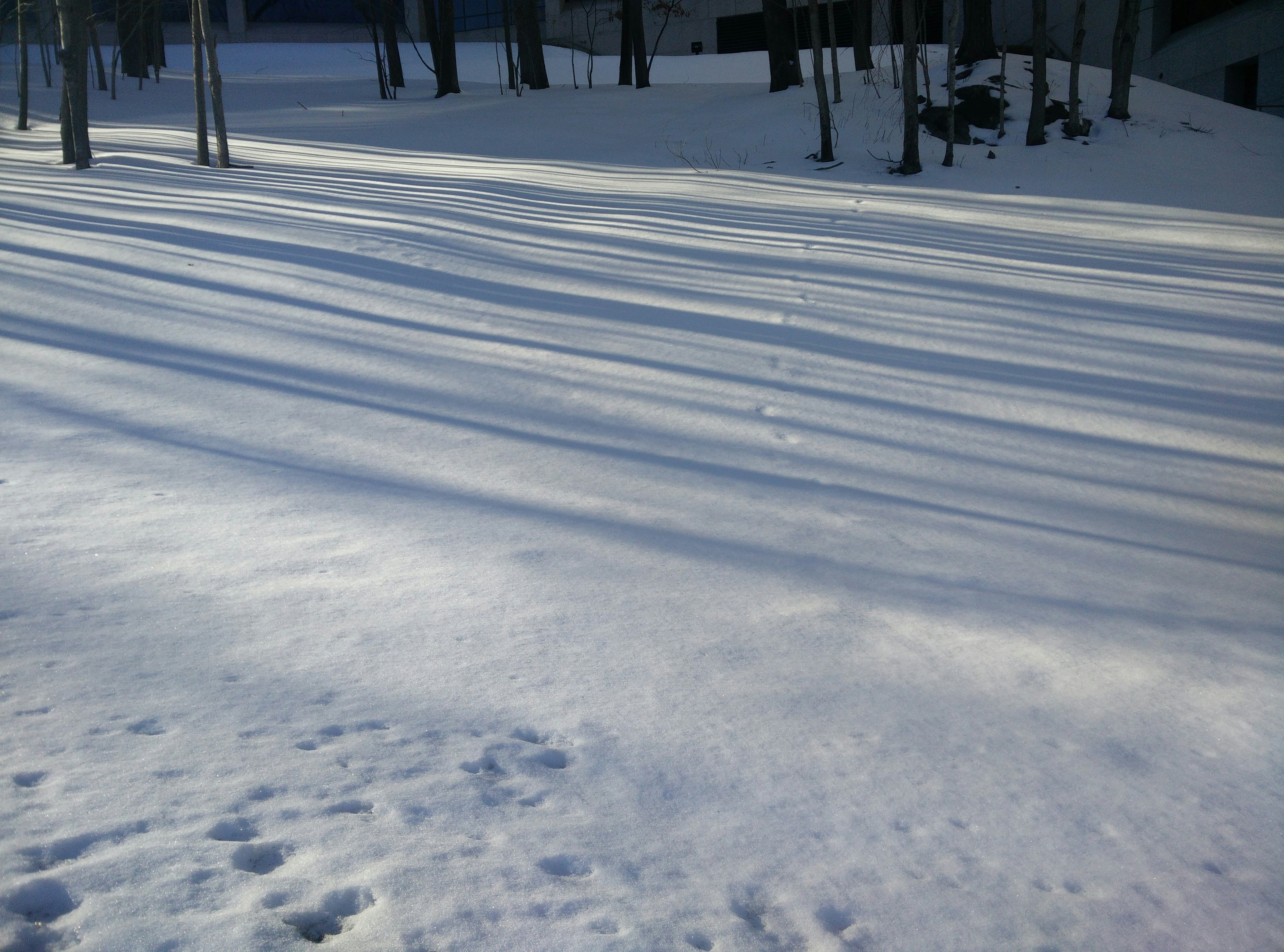 A person riding skis down a snow covered slope