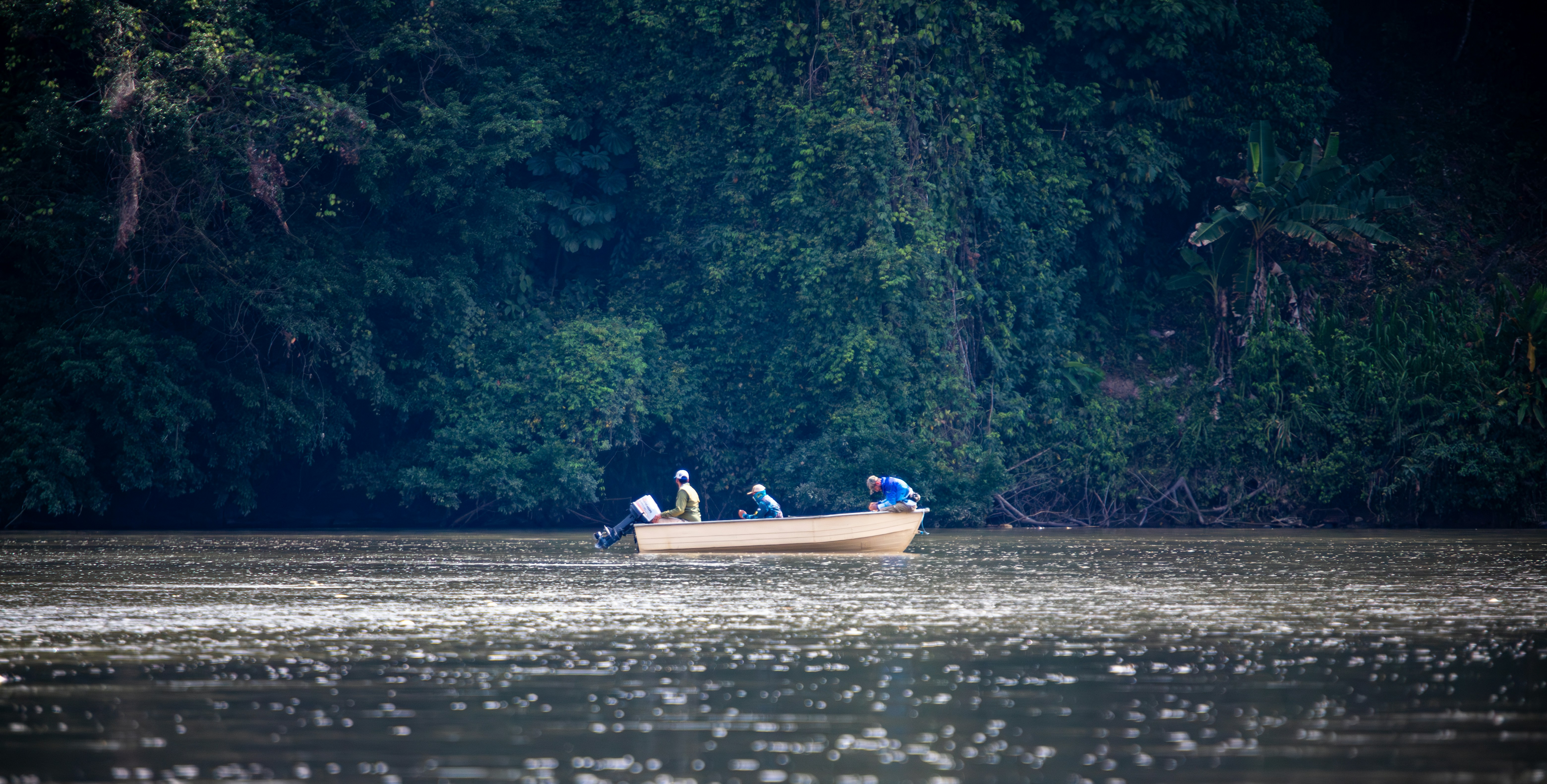 Motorboat on jungle river