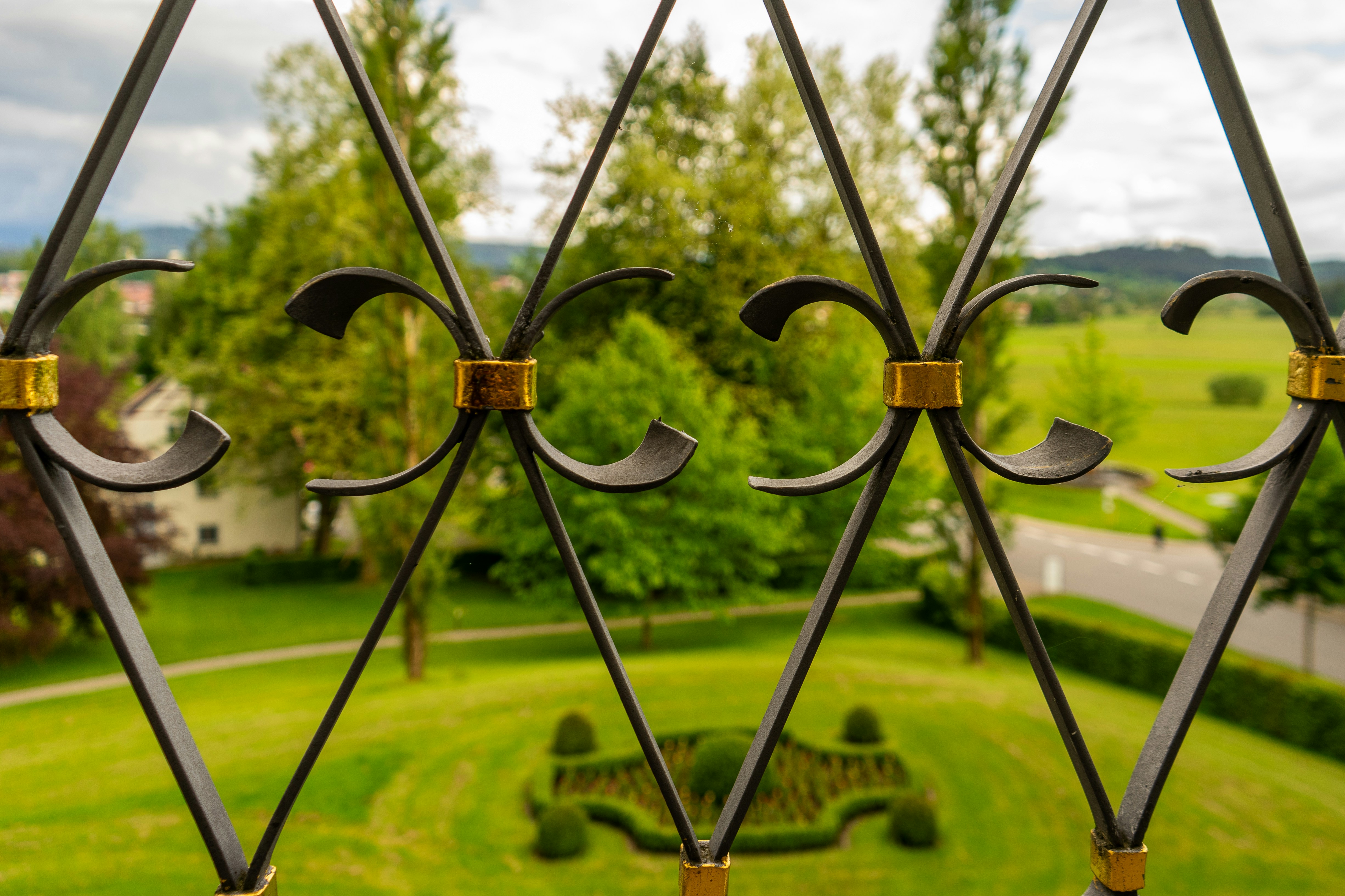 A view of a green yard through a window