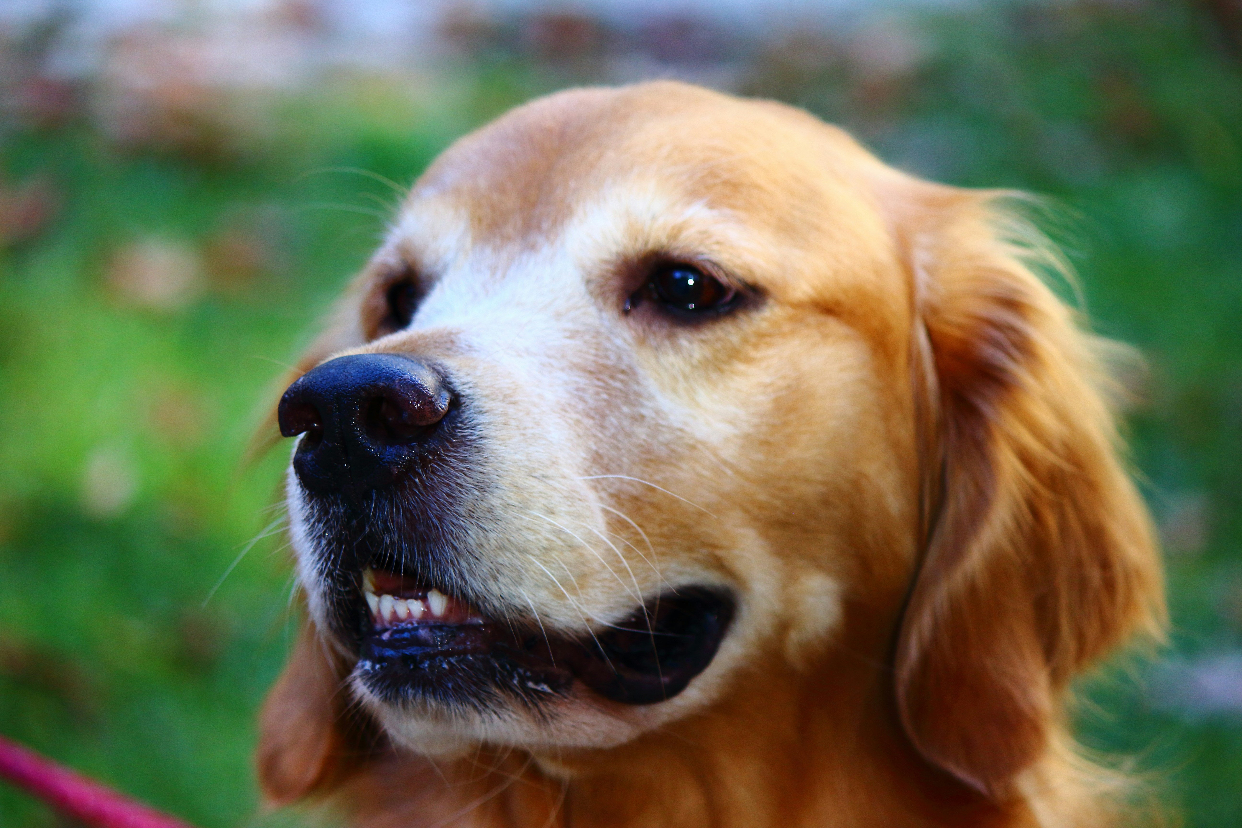 Photo by cengizozarpat