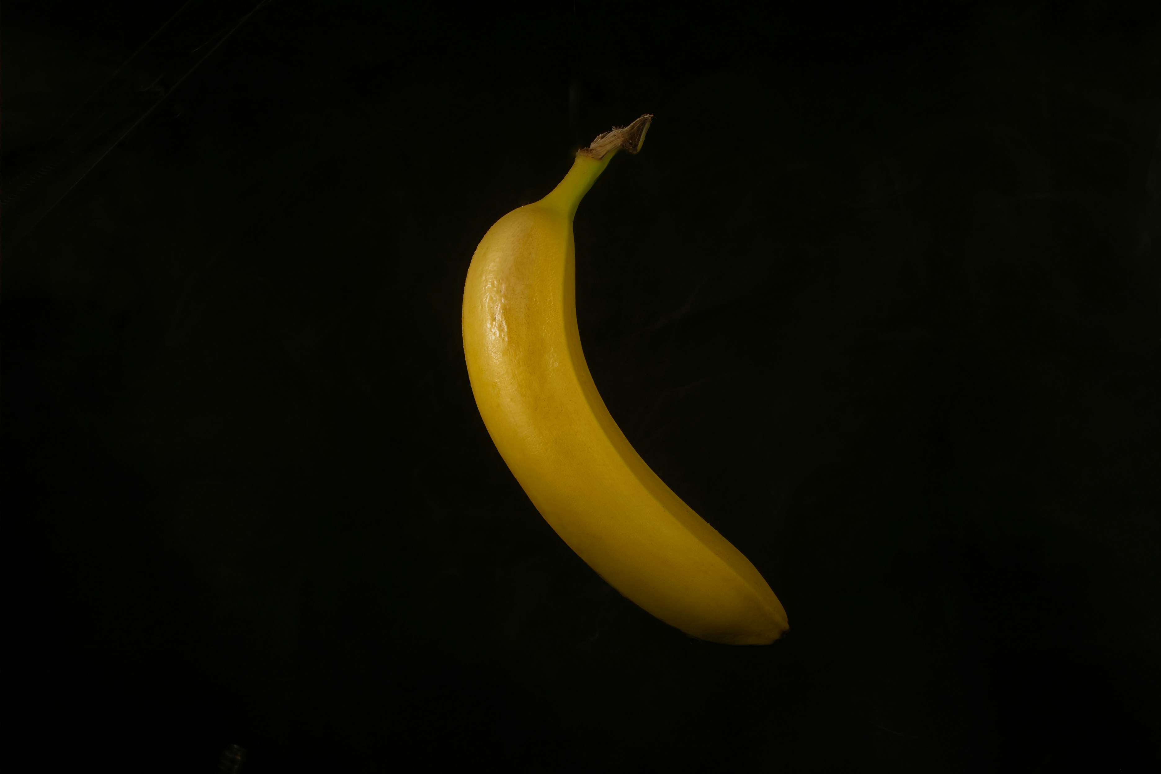 Organic Bananas