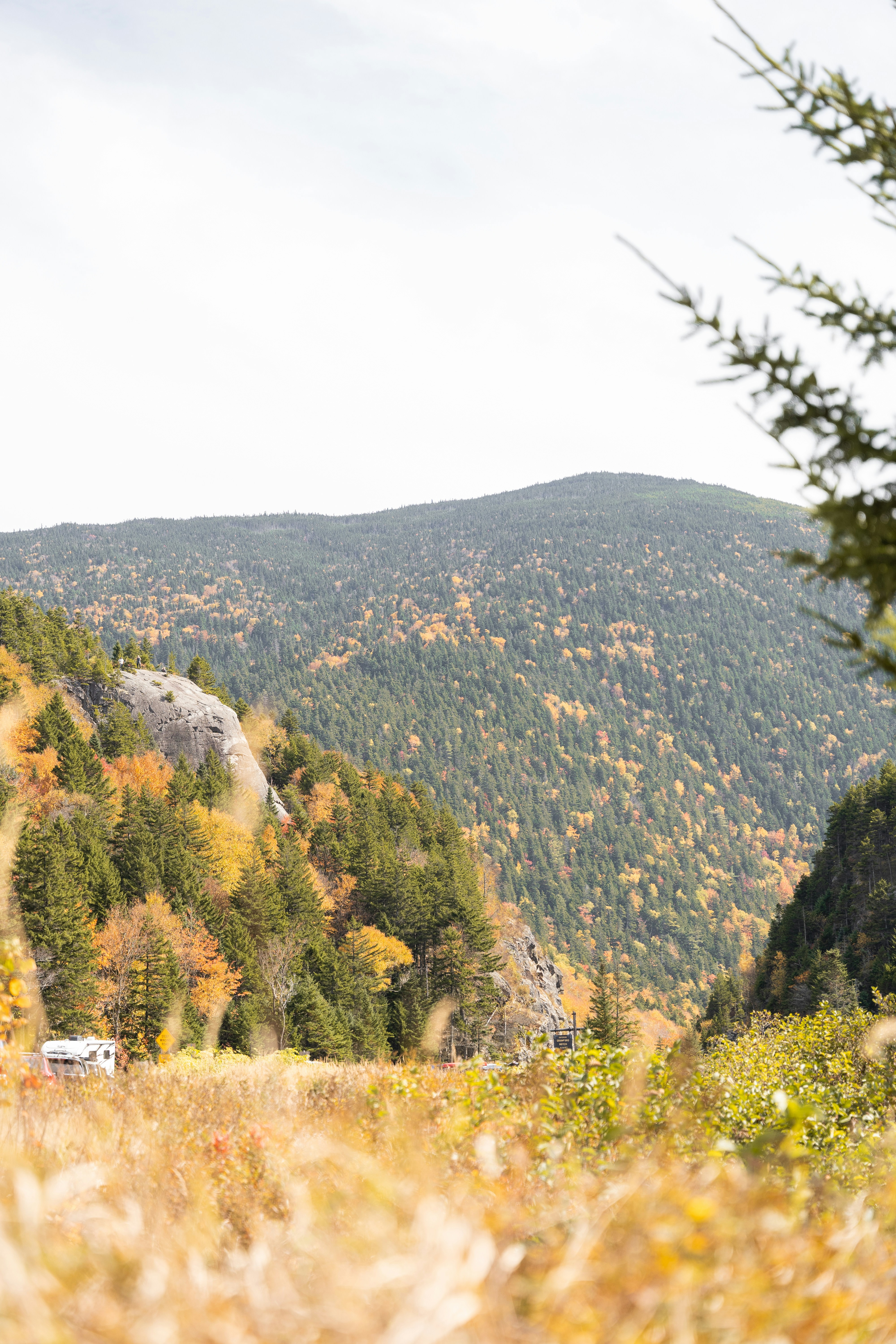 A scenic view of a mountain range with trees in the foreground