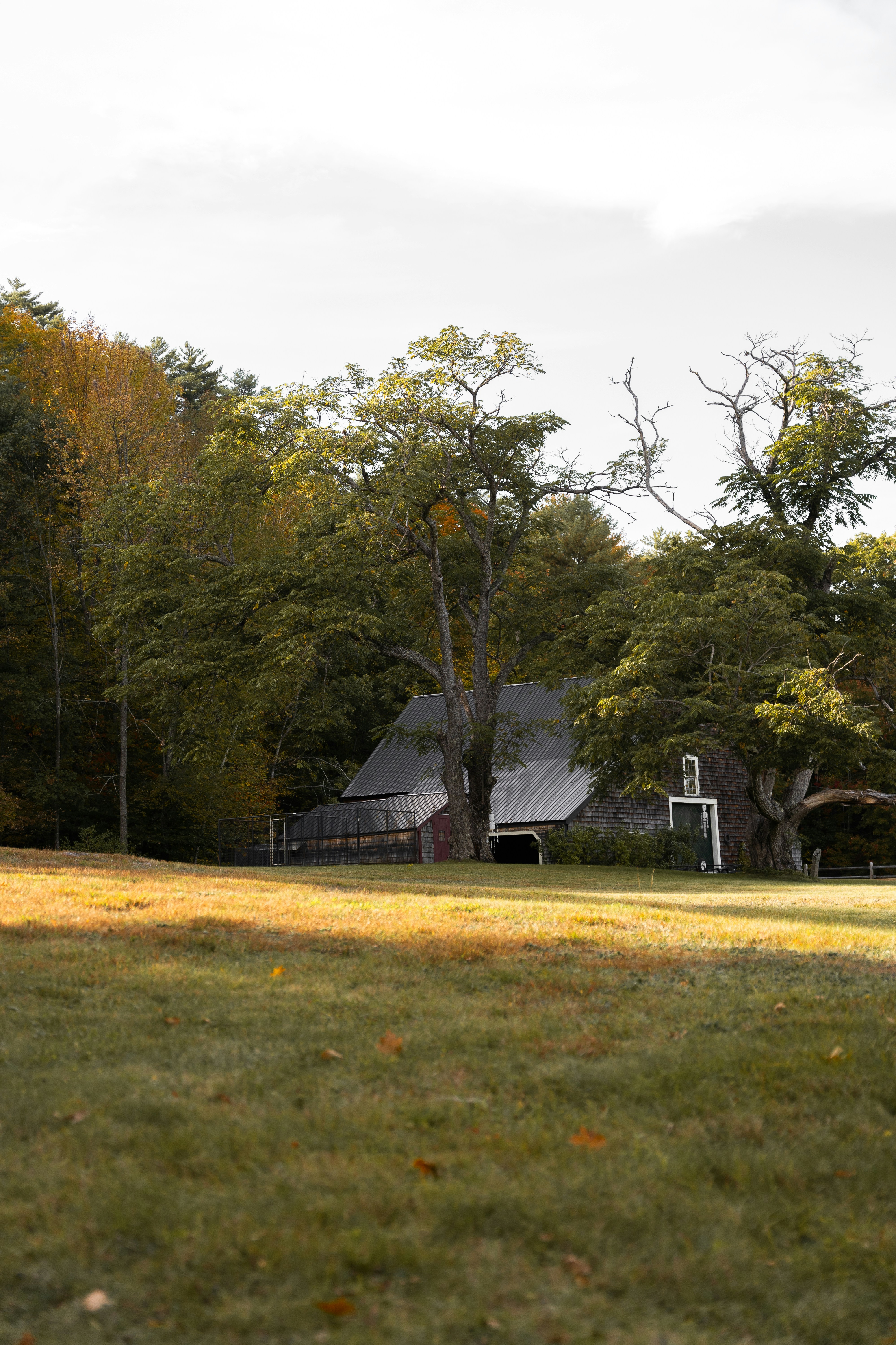 Photo by thebradleygossett