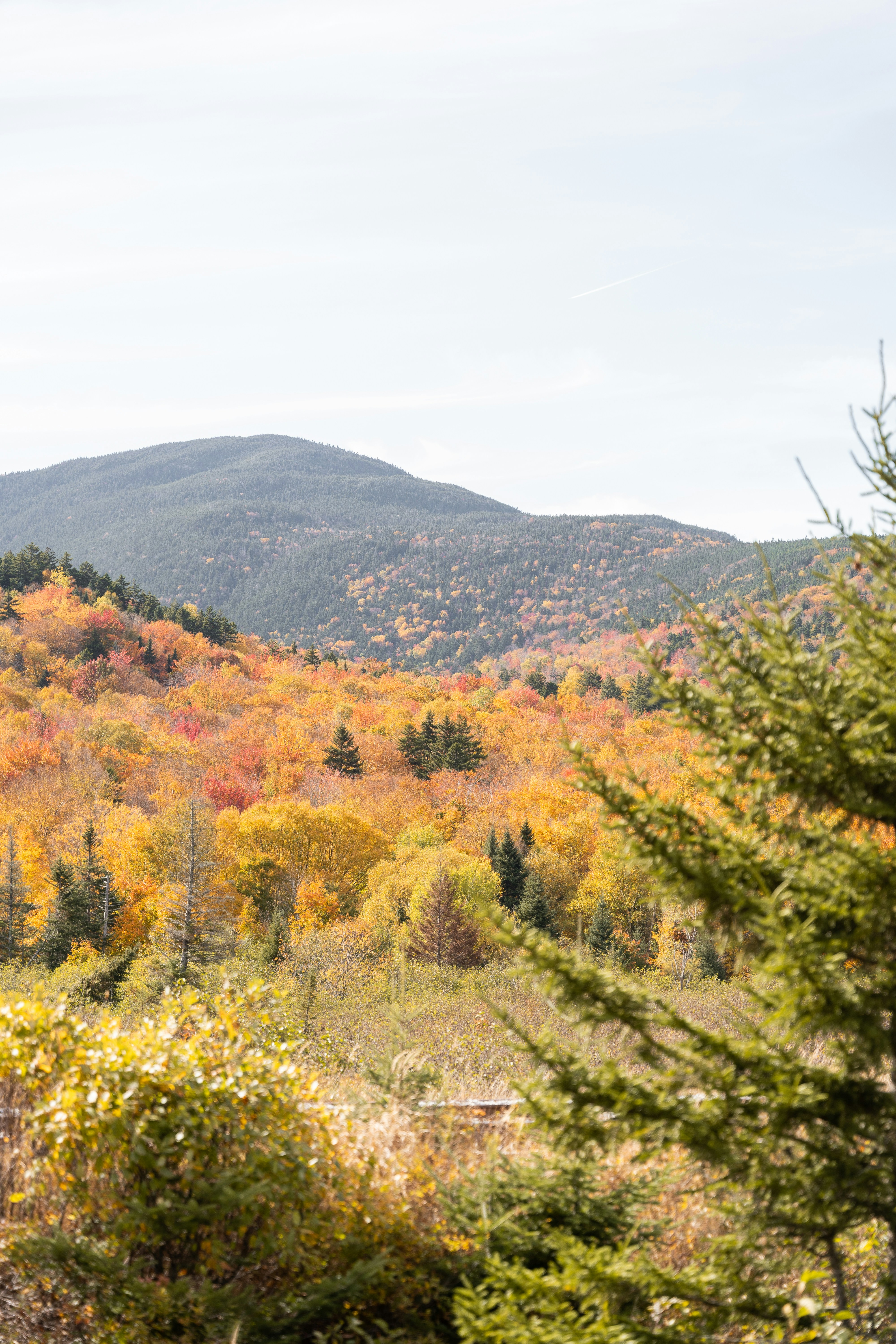 Photo by thebradleygossett