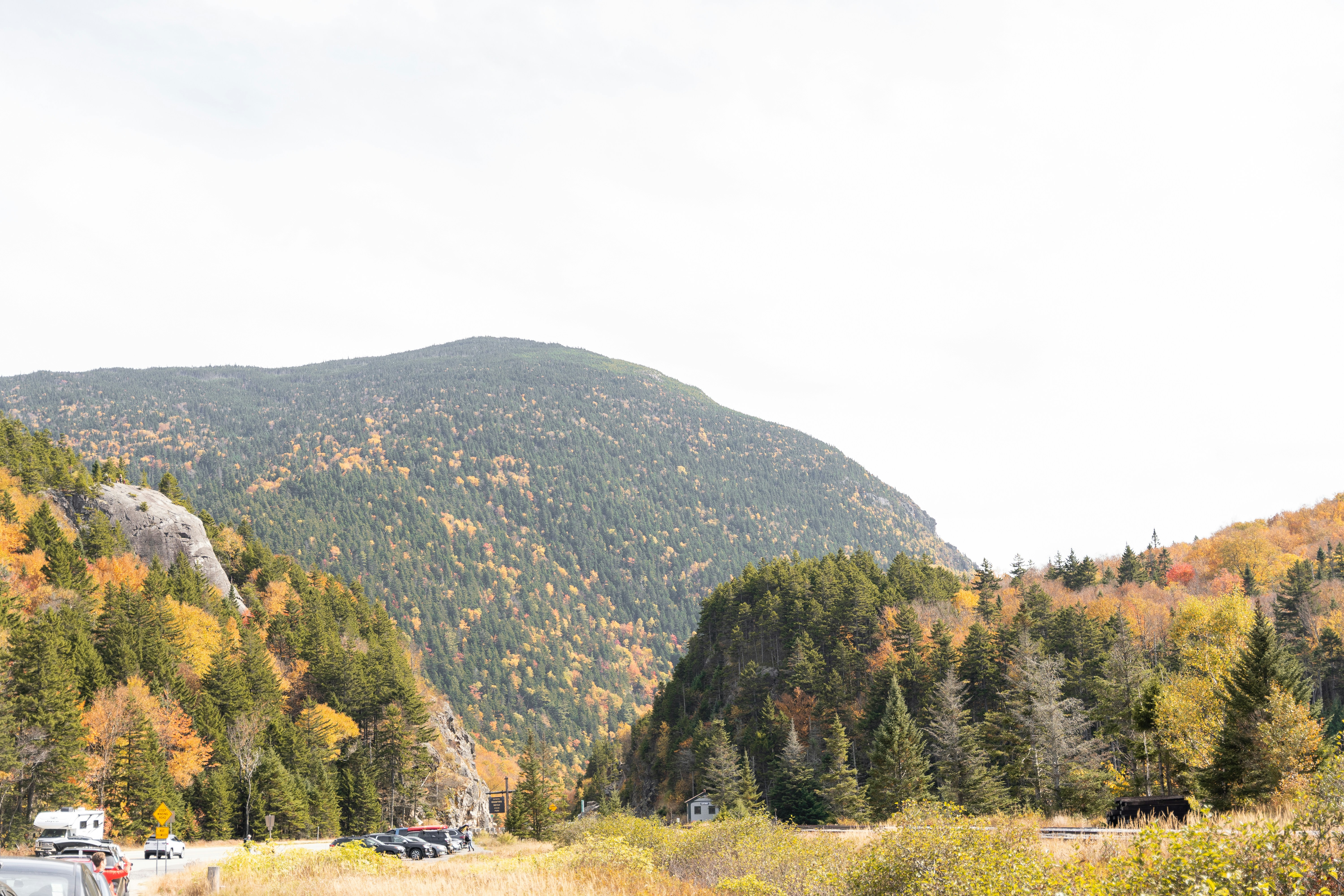 A truck driving down a road next to a forest