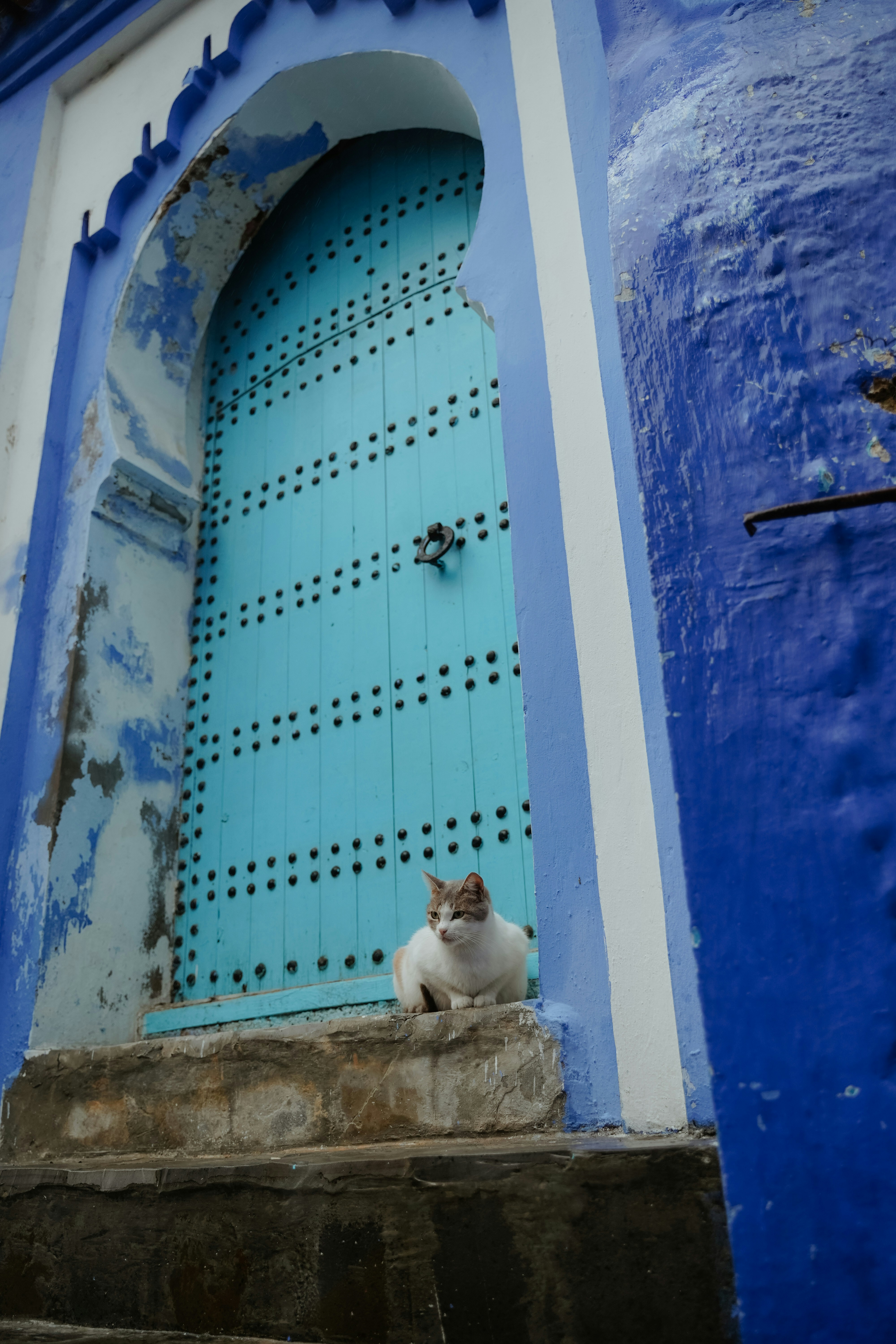 Photo by kirsten_frank