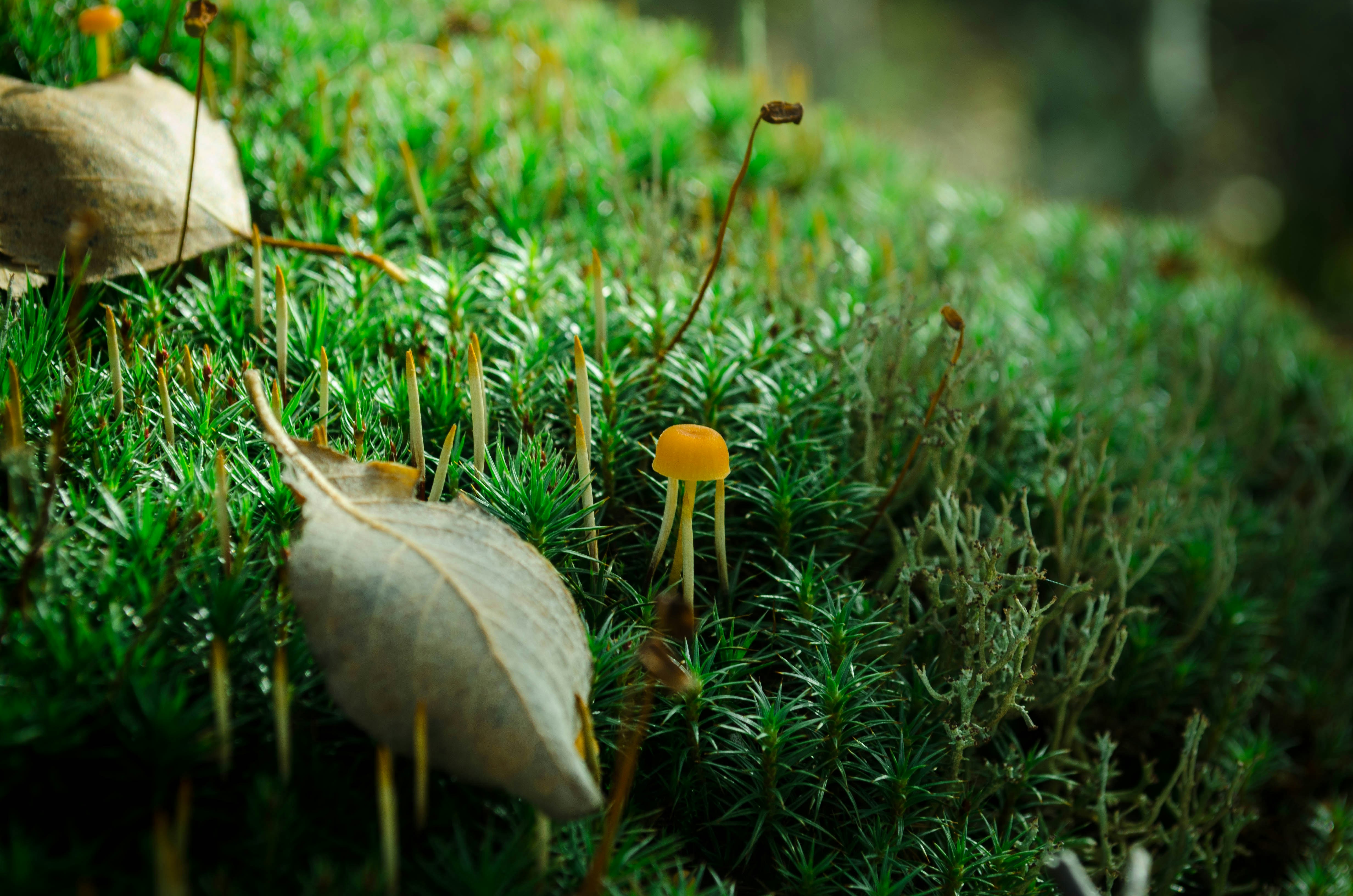 Photo by andrilliardbond