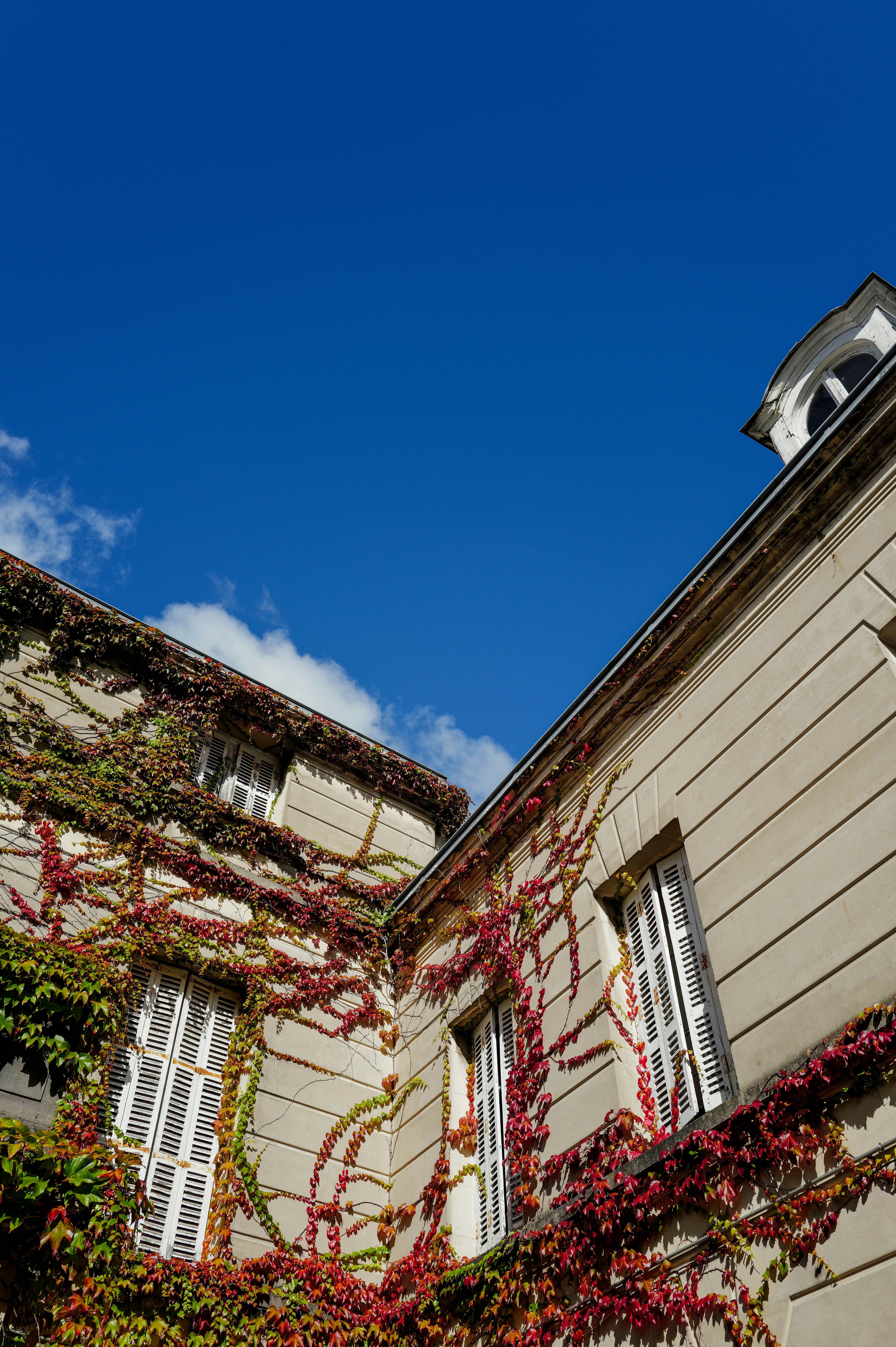 Photo by adrienolichon