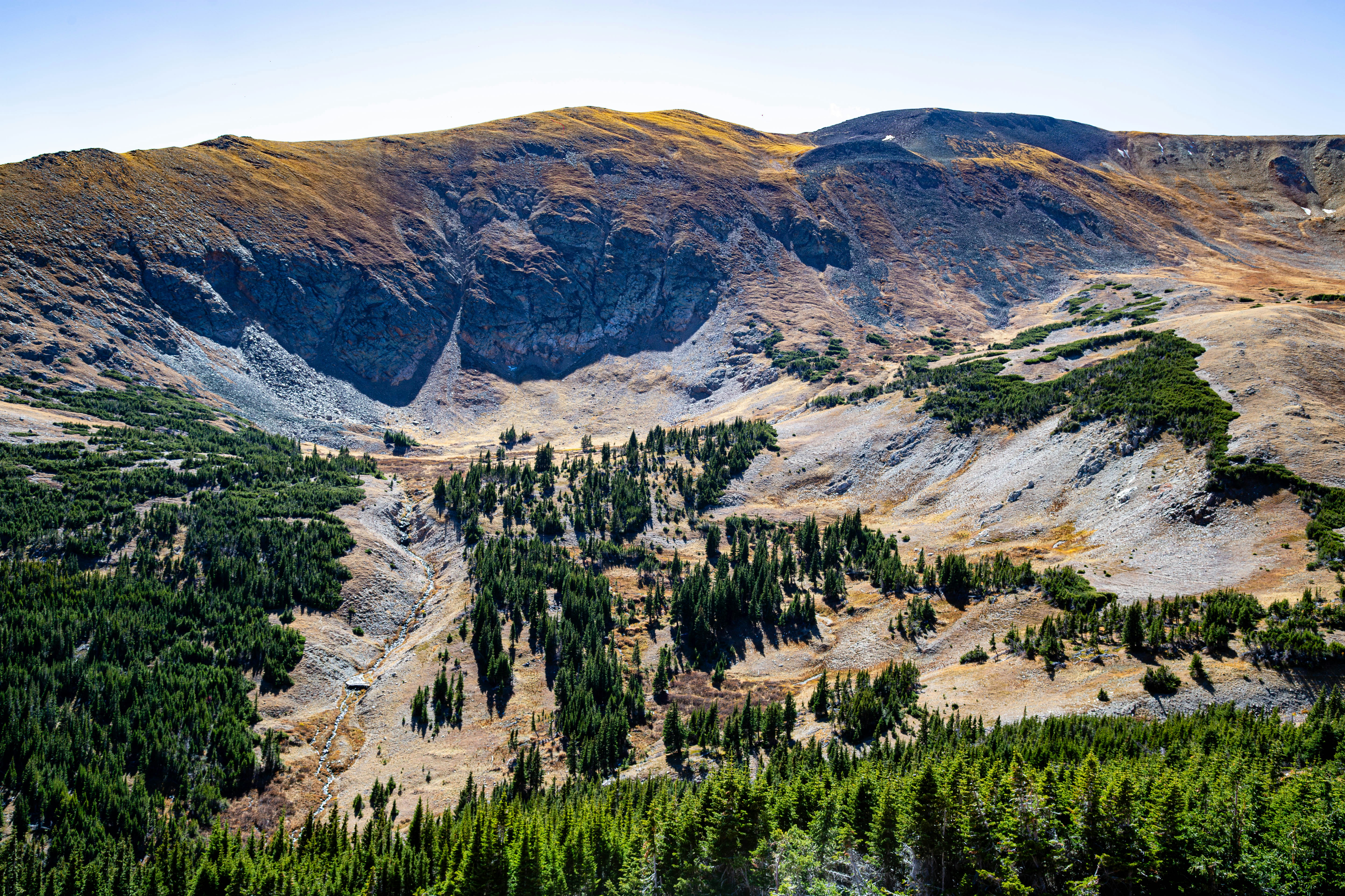 A view of a mountain range with trees in the foreground
