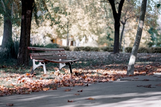 A park bench sitting in the middle of a park