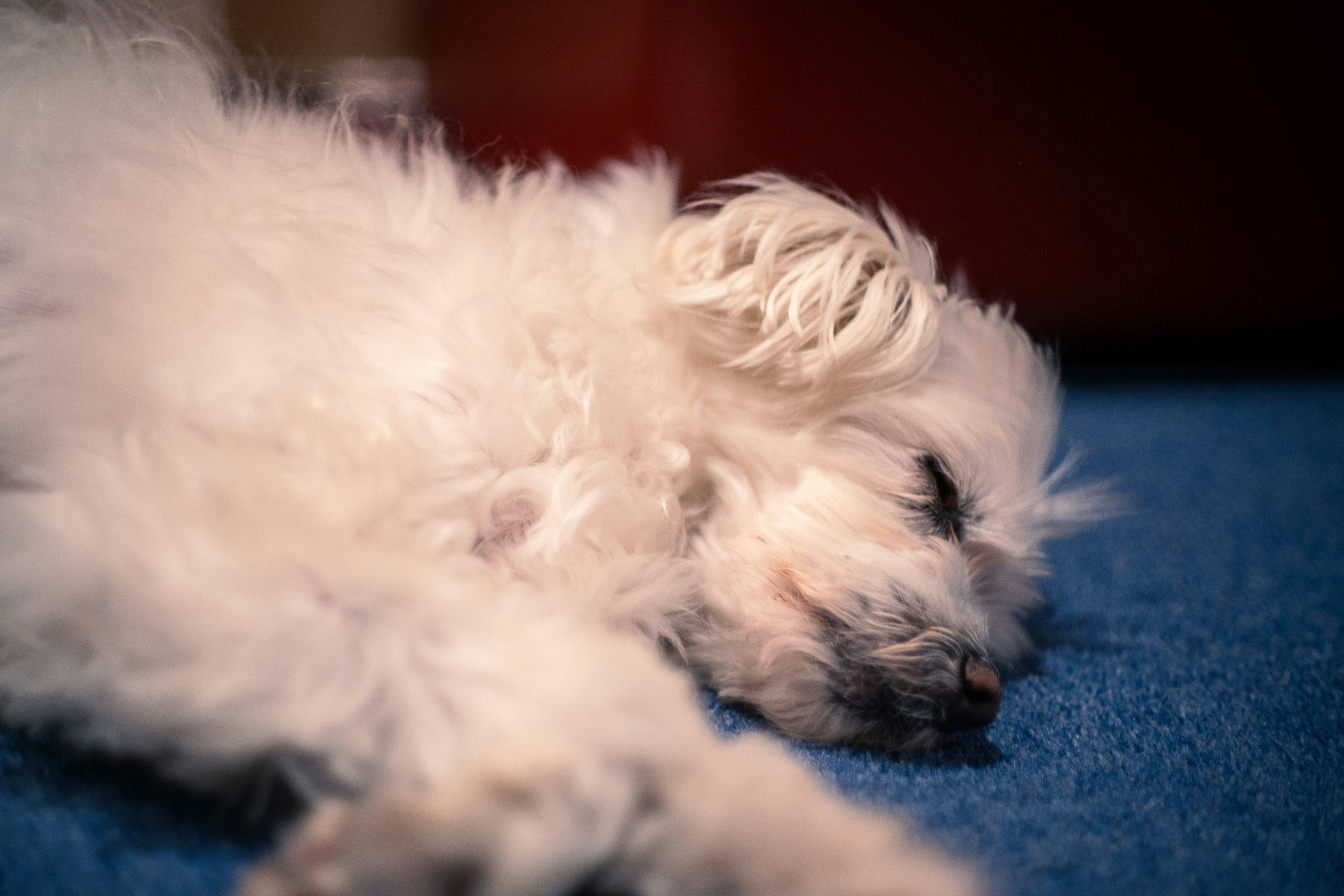 Emotional Regulation and Instinctive Soothing