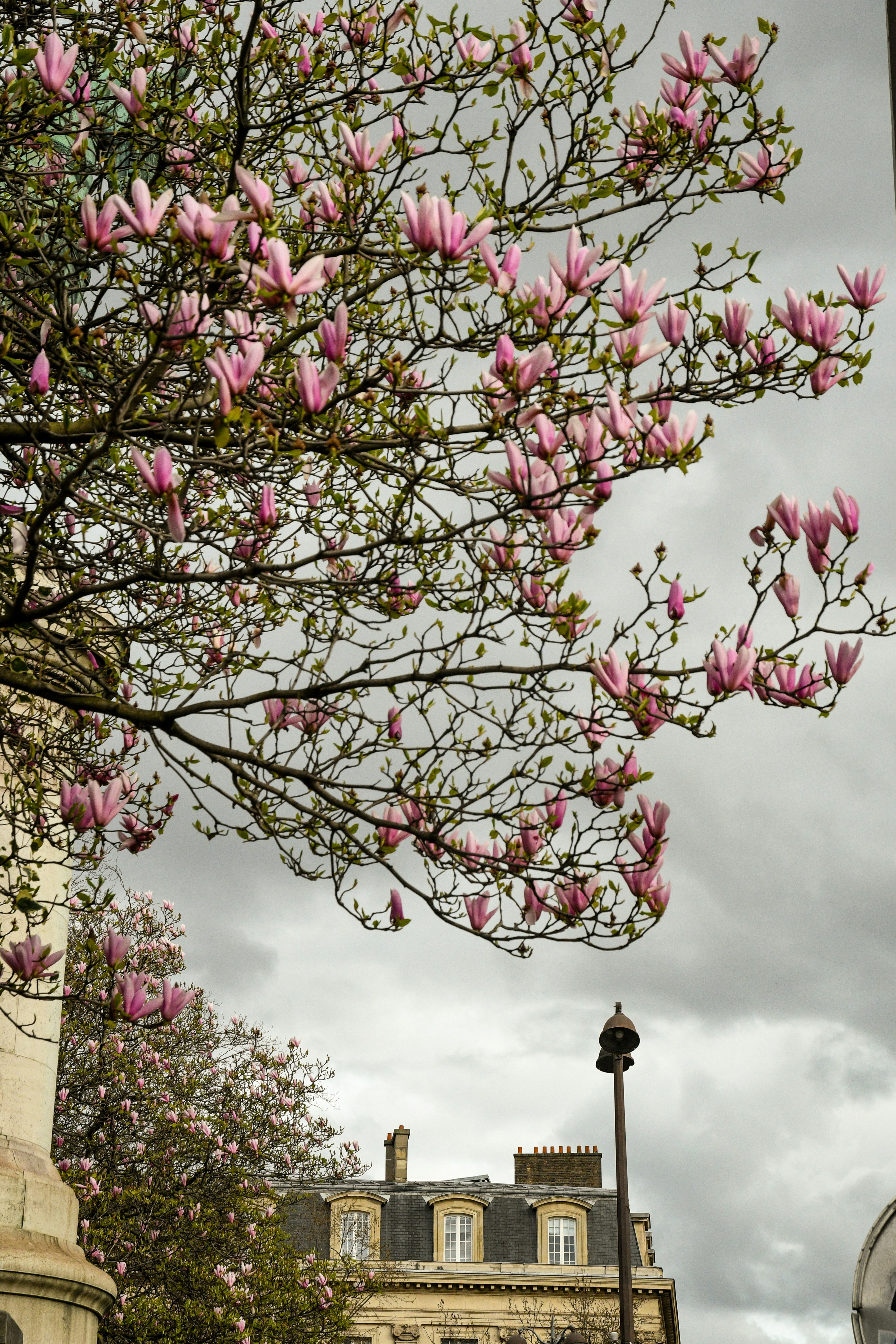 Photo by oliviahouck88