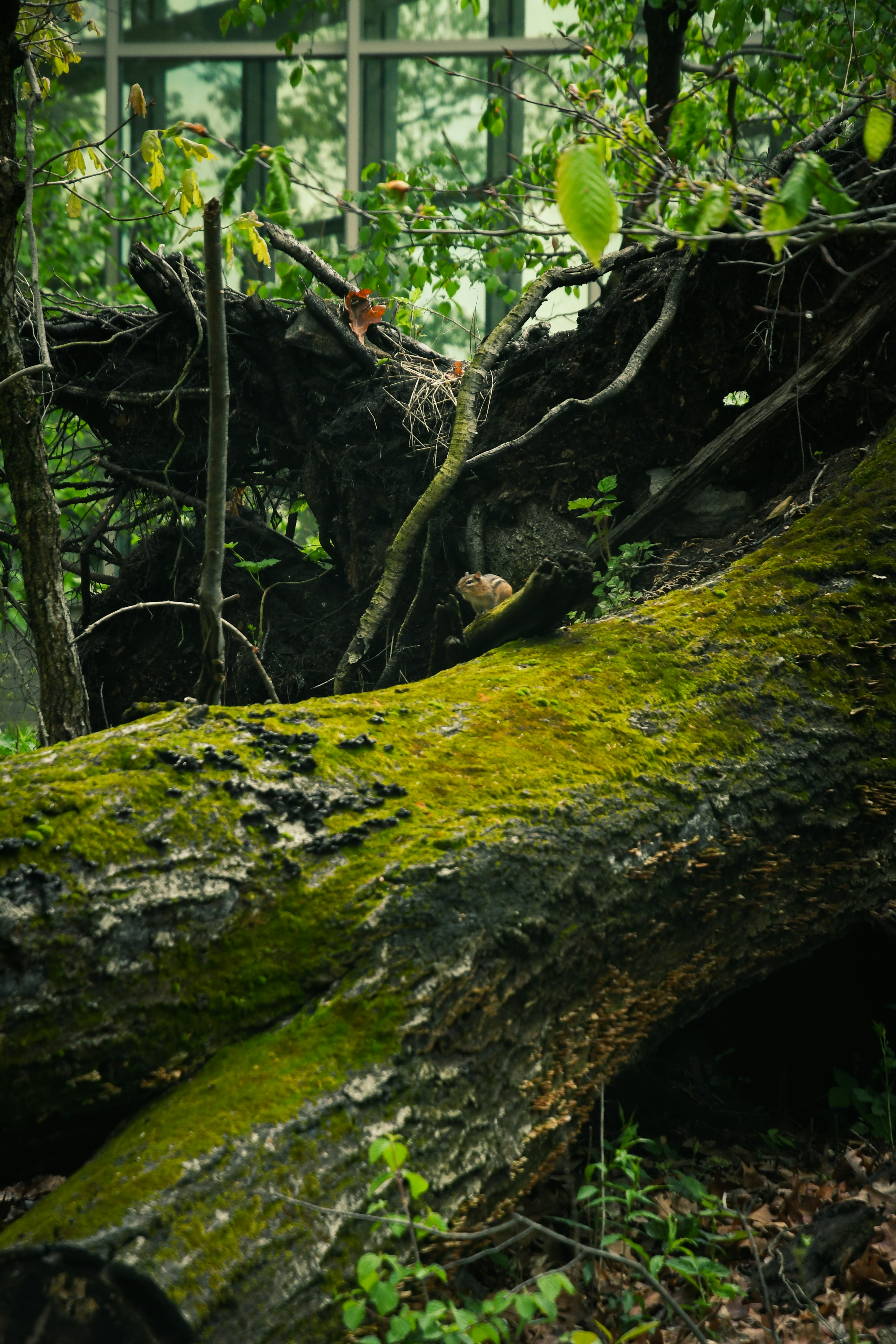 Photo by oliviahouck88