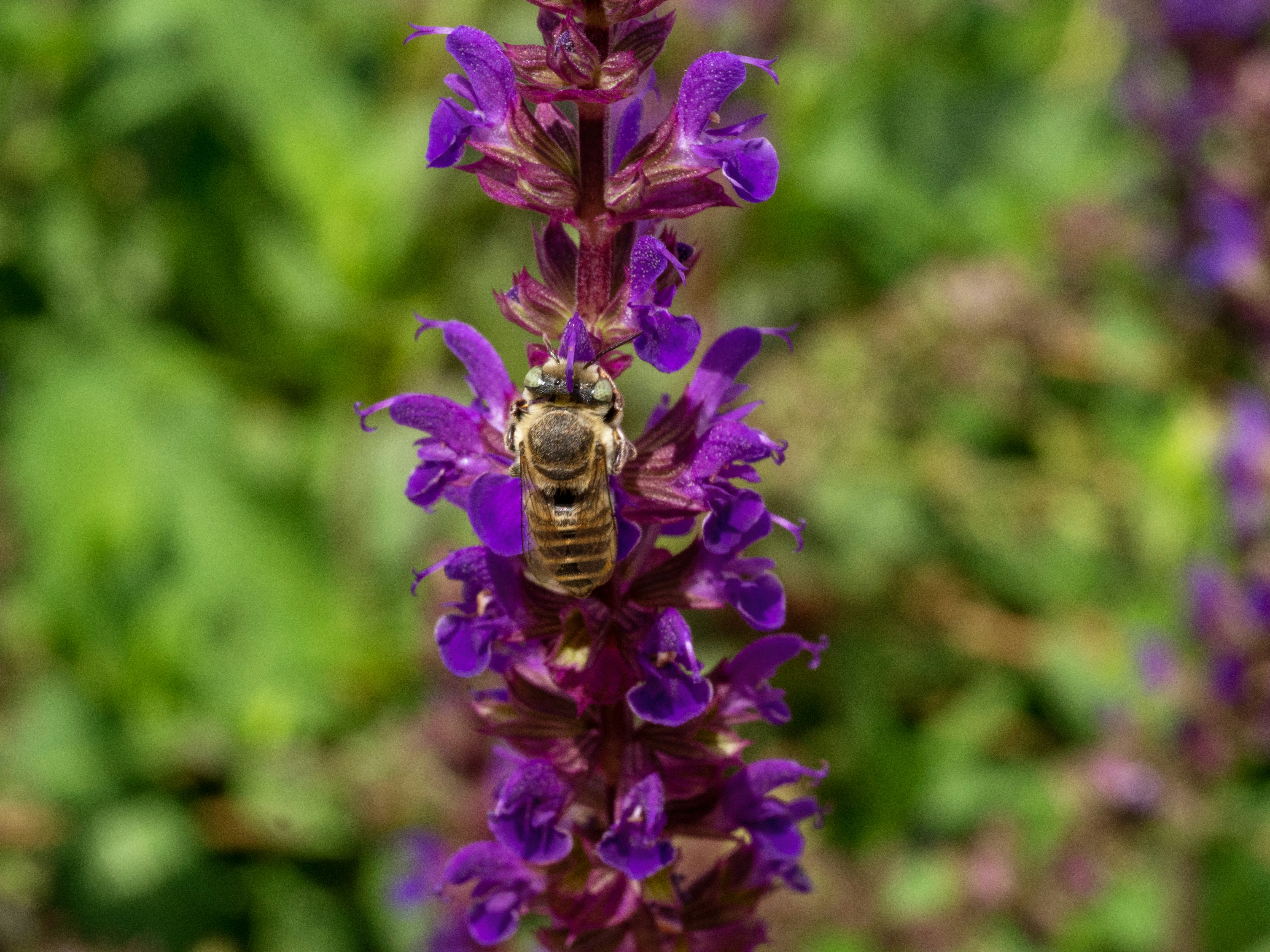 Photo by timeofblende