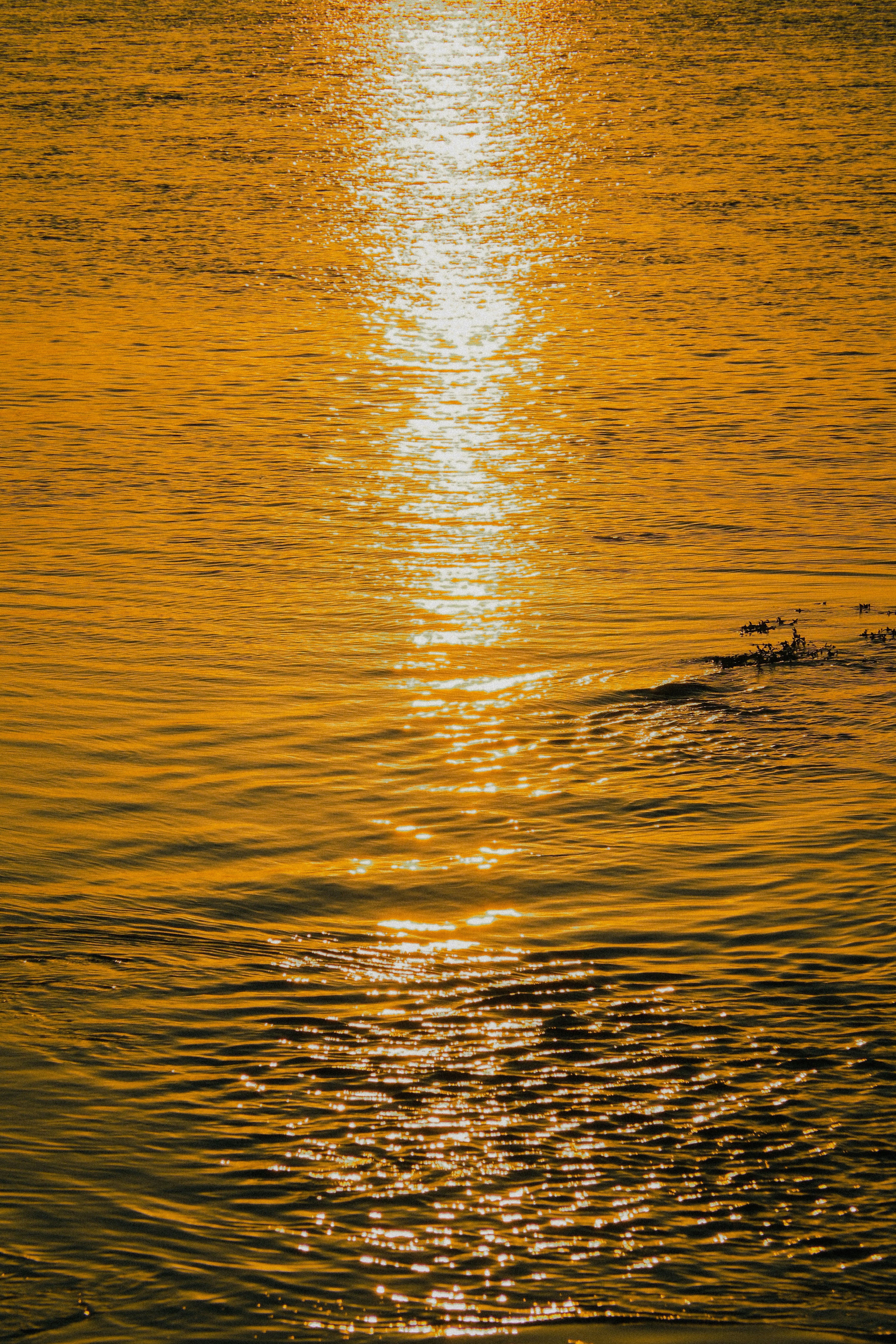 Photo by photohunter