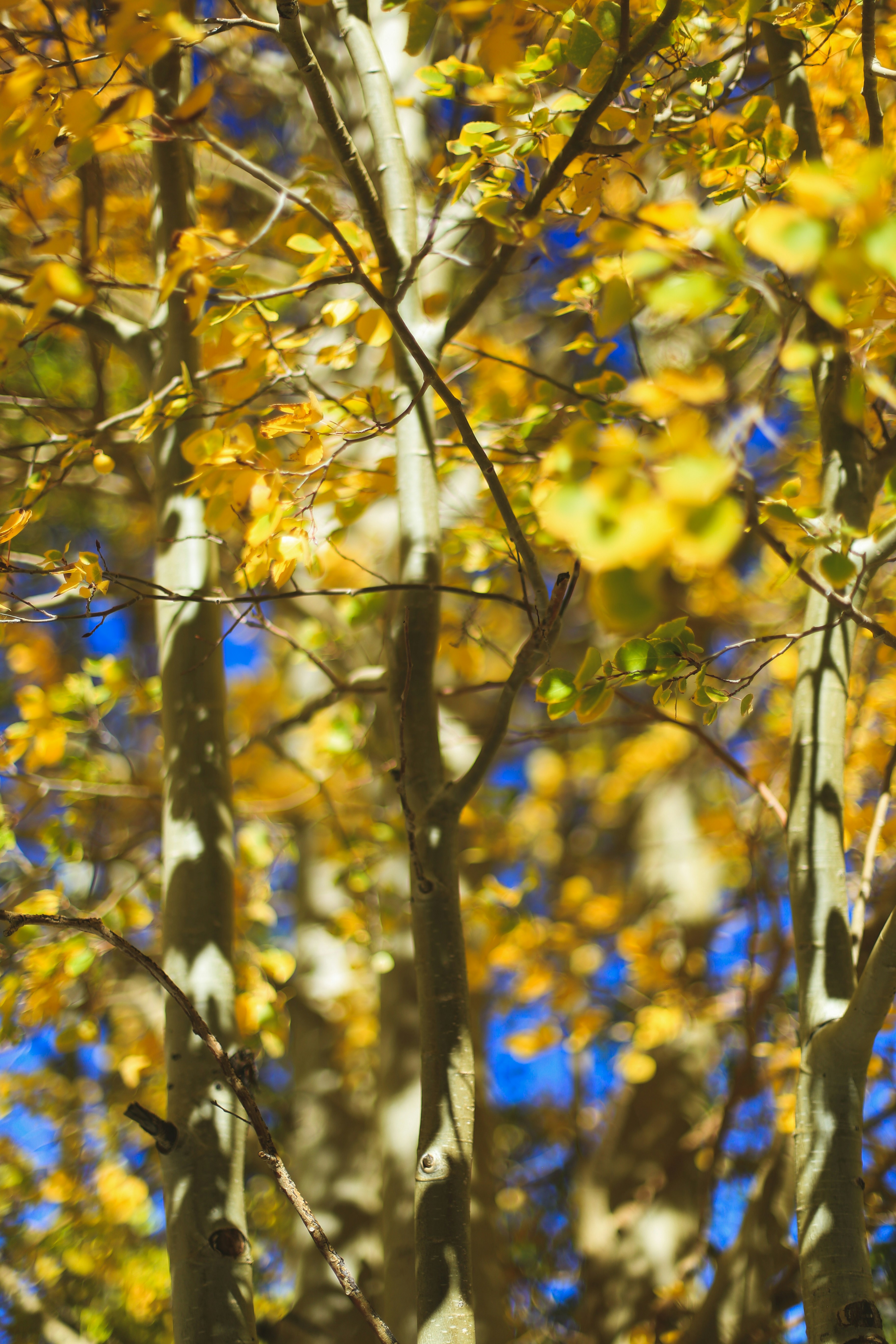 Photo by jessicalfadel