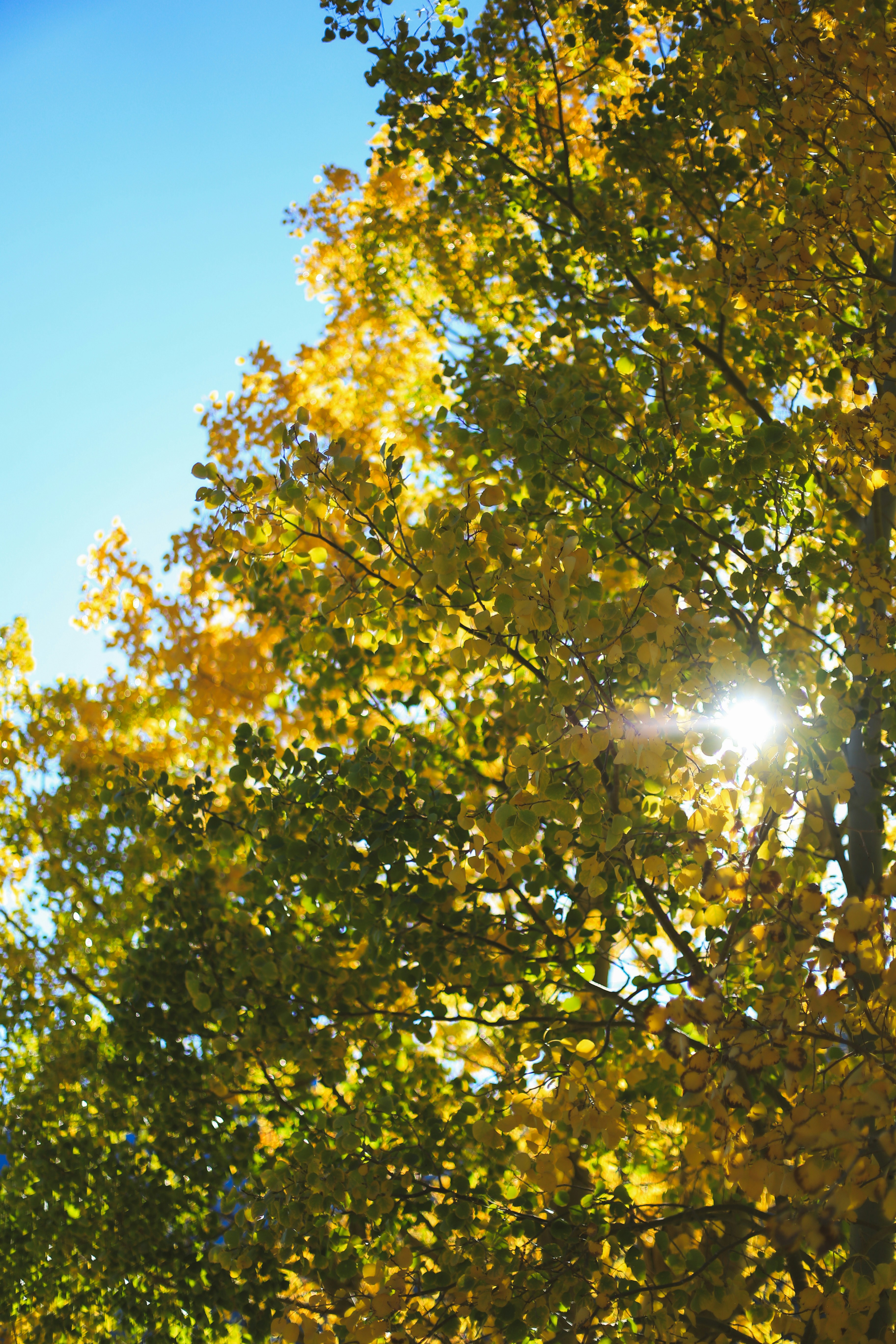 Photo by jessicalfadel