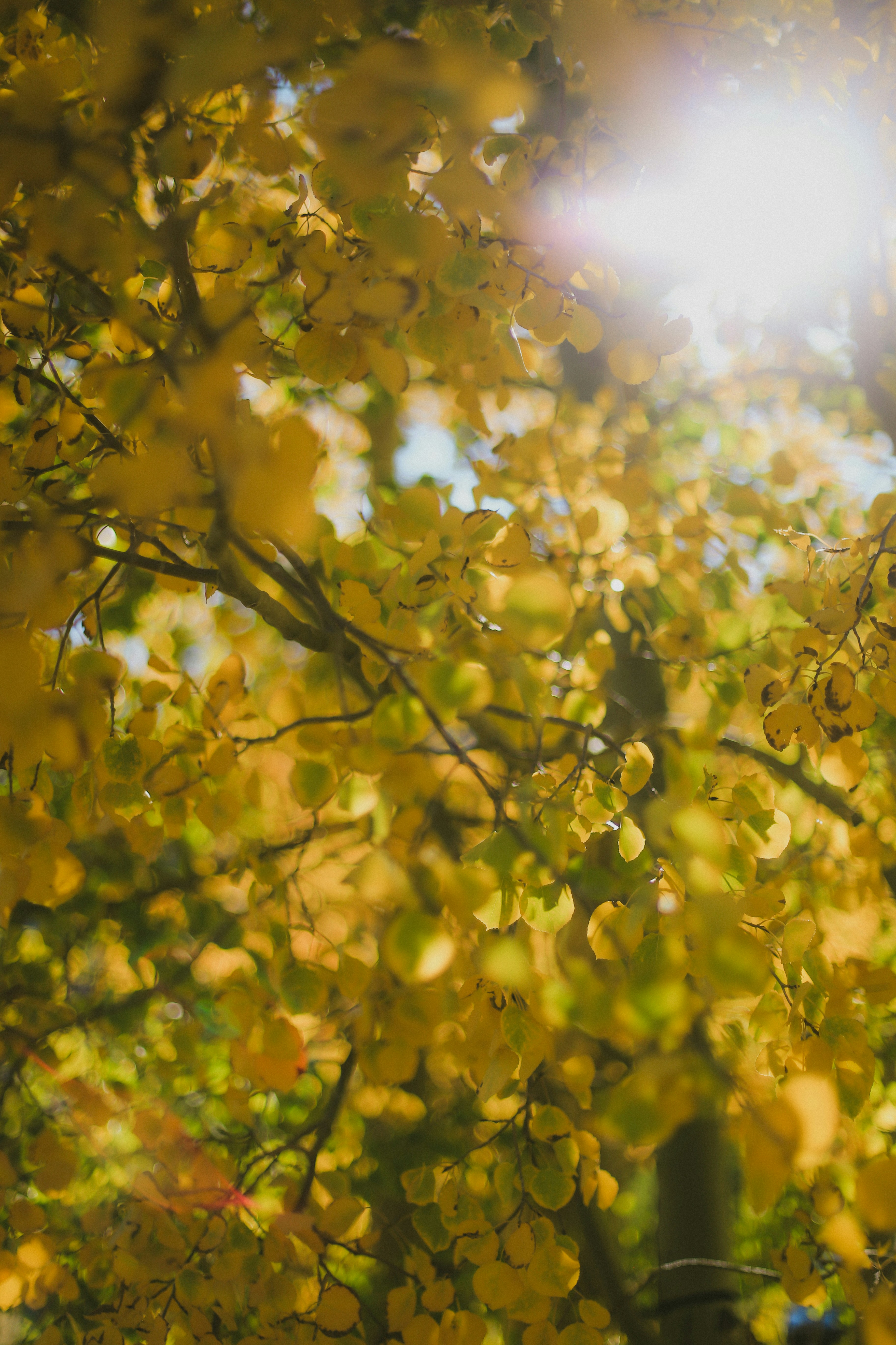 Photo by jessicalfadel