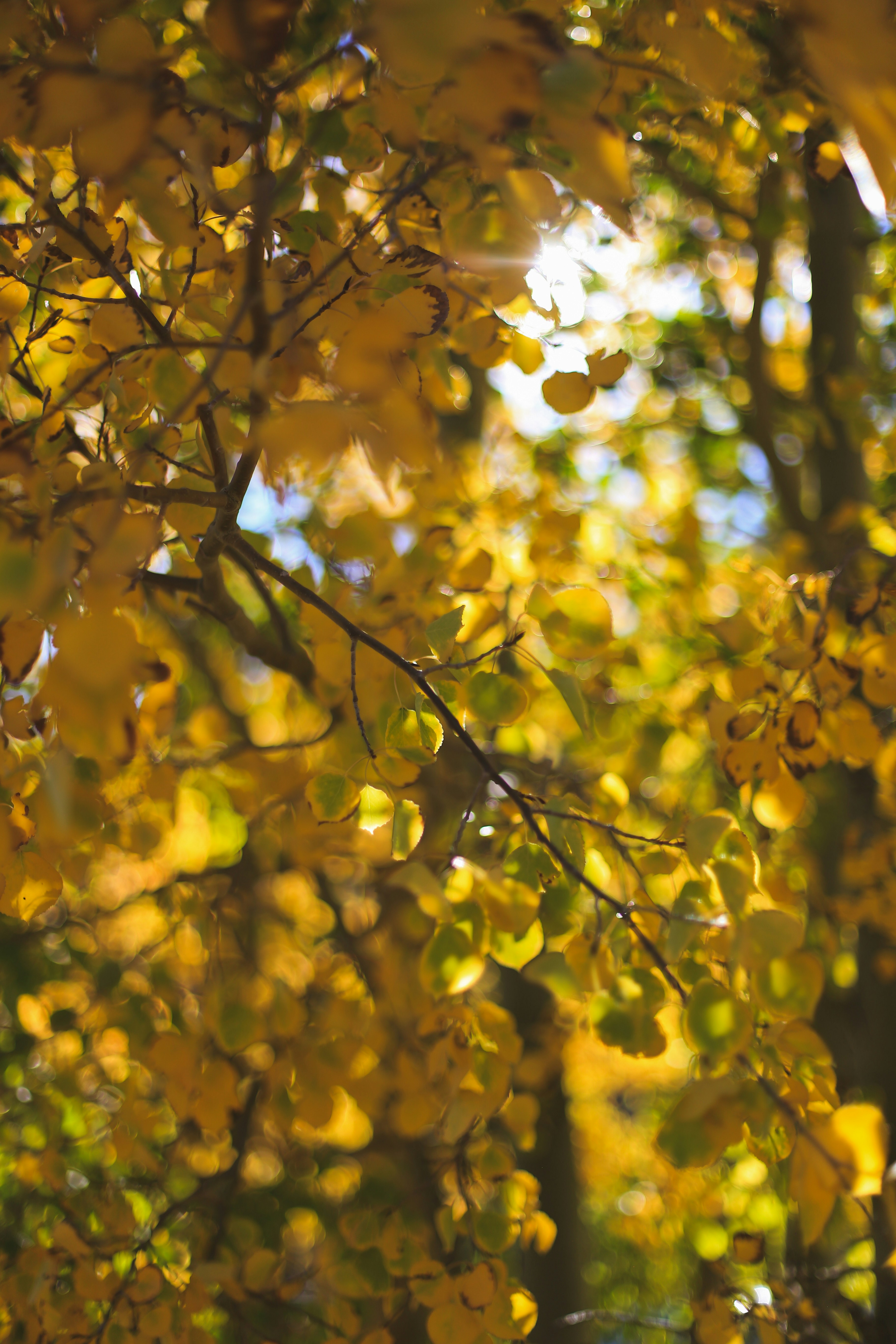 Photo by jessicalfadel