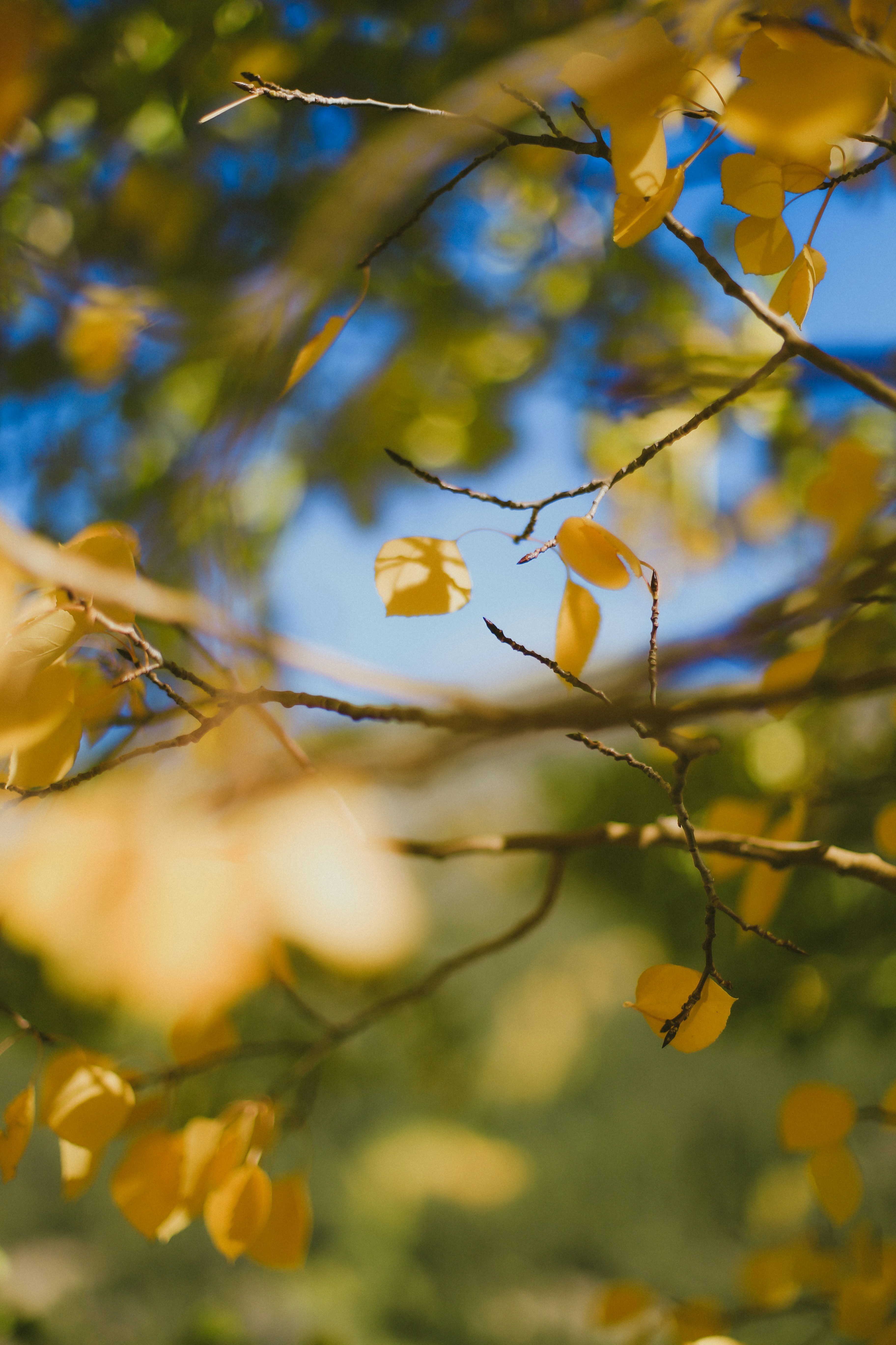 Photo by jessicalfadel