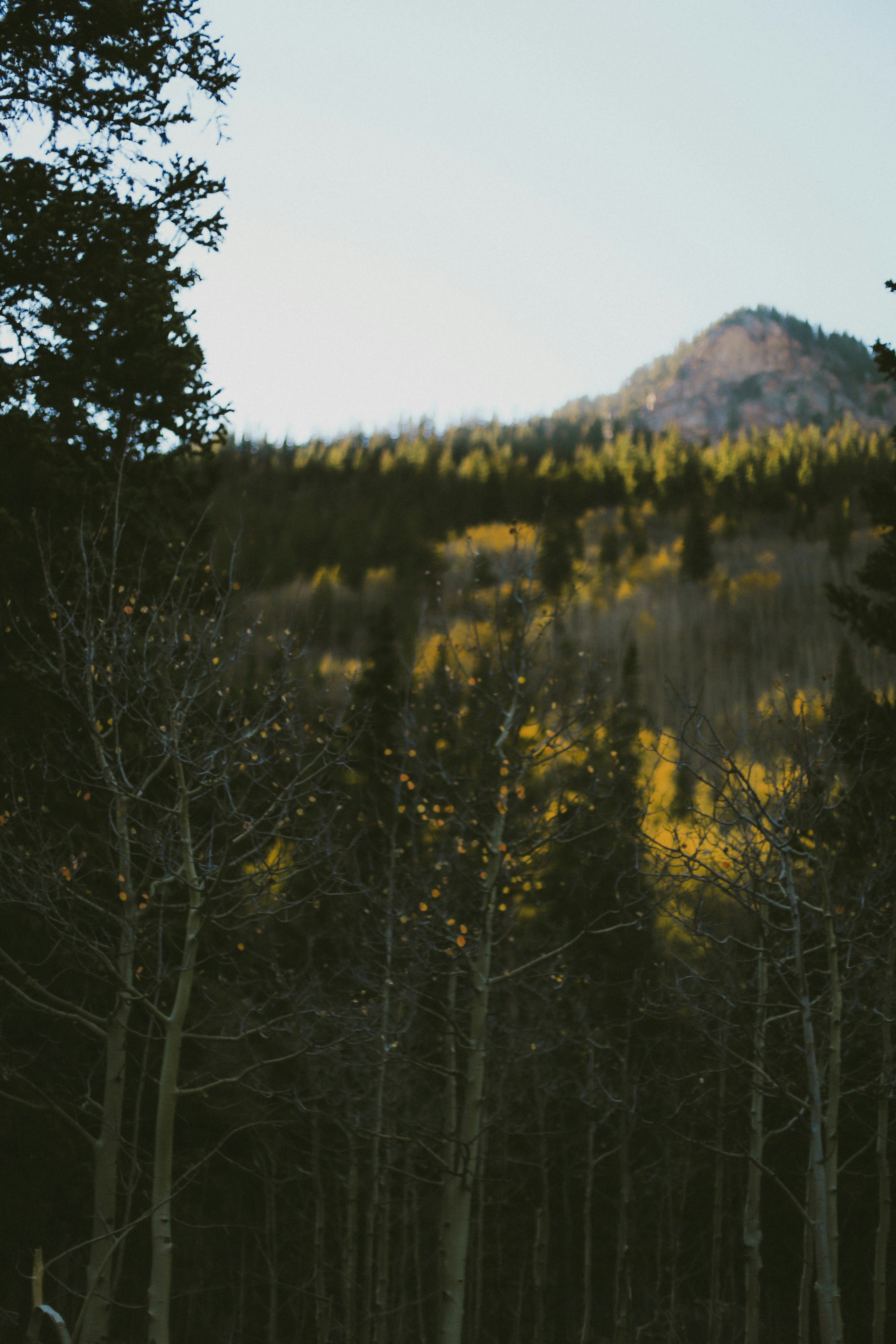 Photo by jessicalfadel