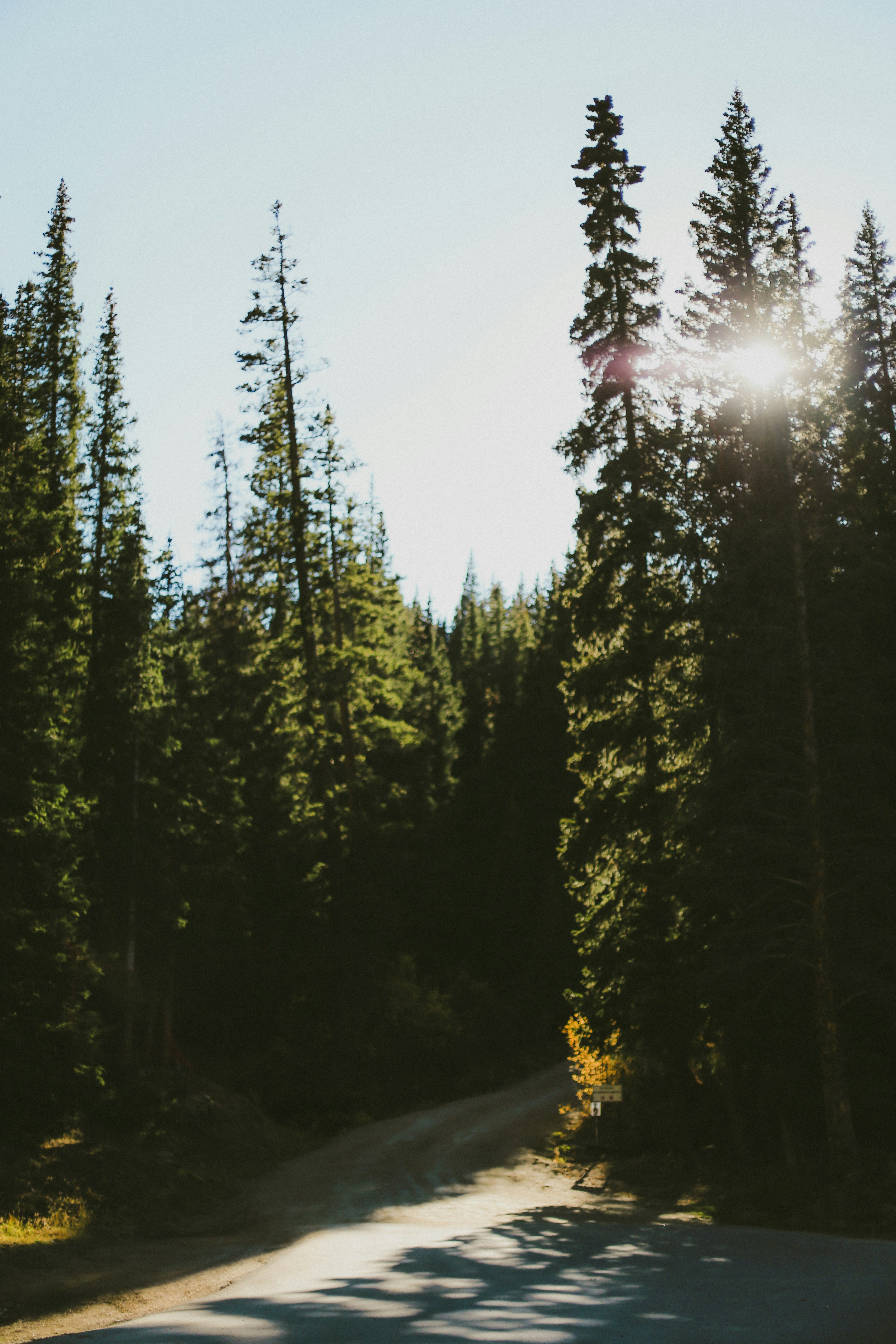 Photo by jessicalfadel