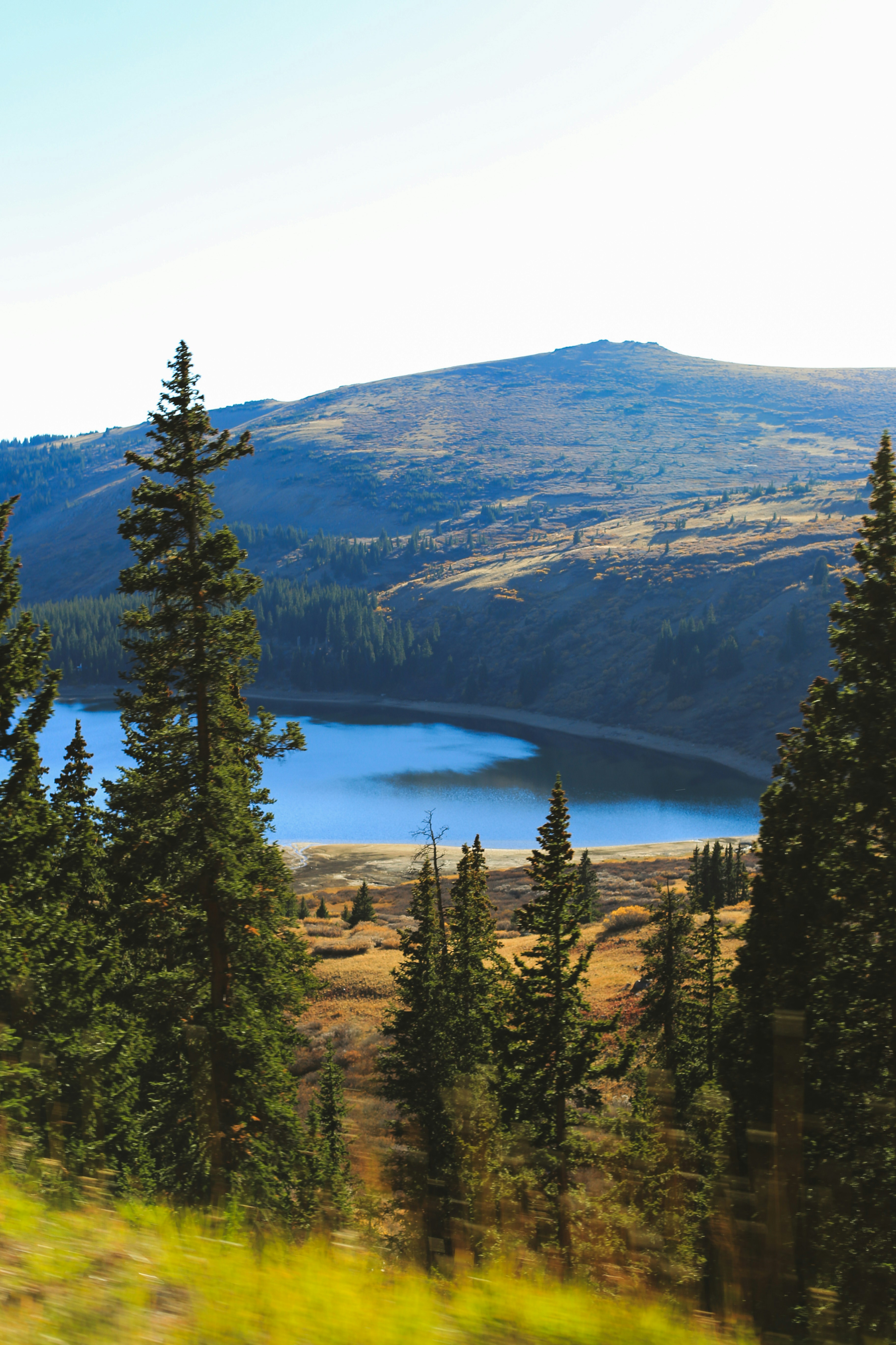 Photo by jessicalfadel