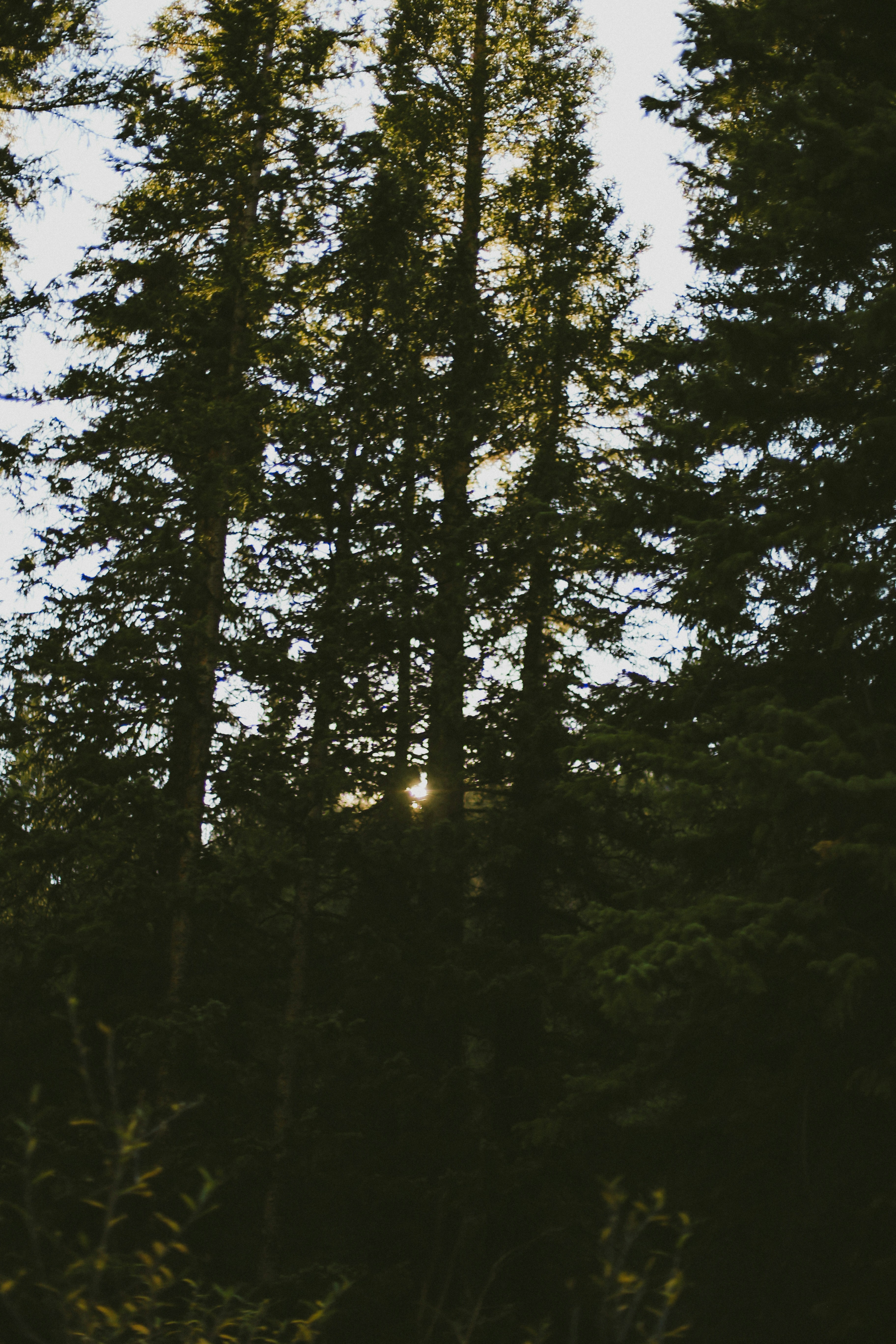 Photo by jessicalfadel