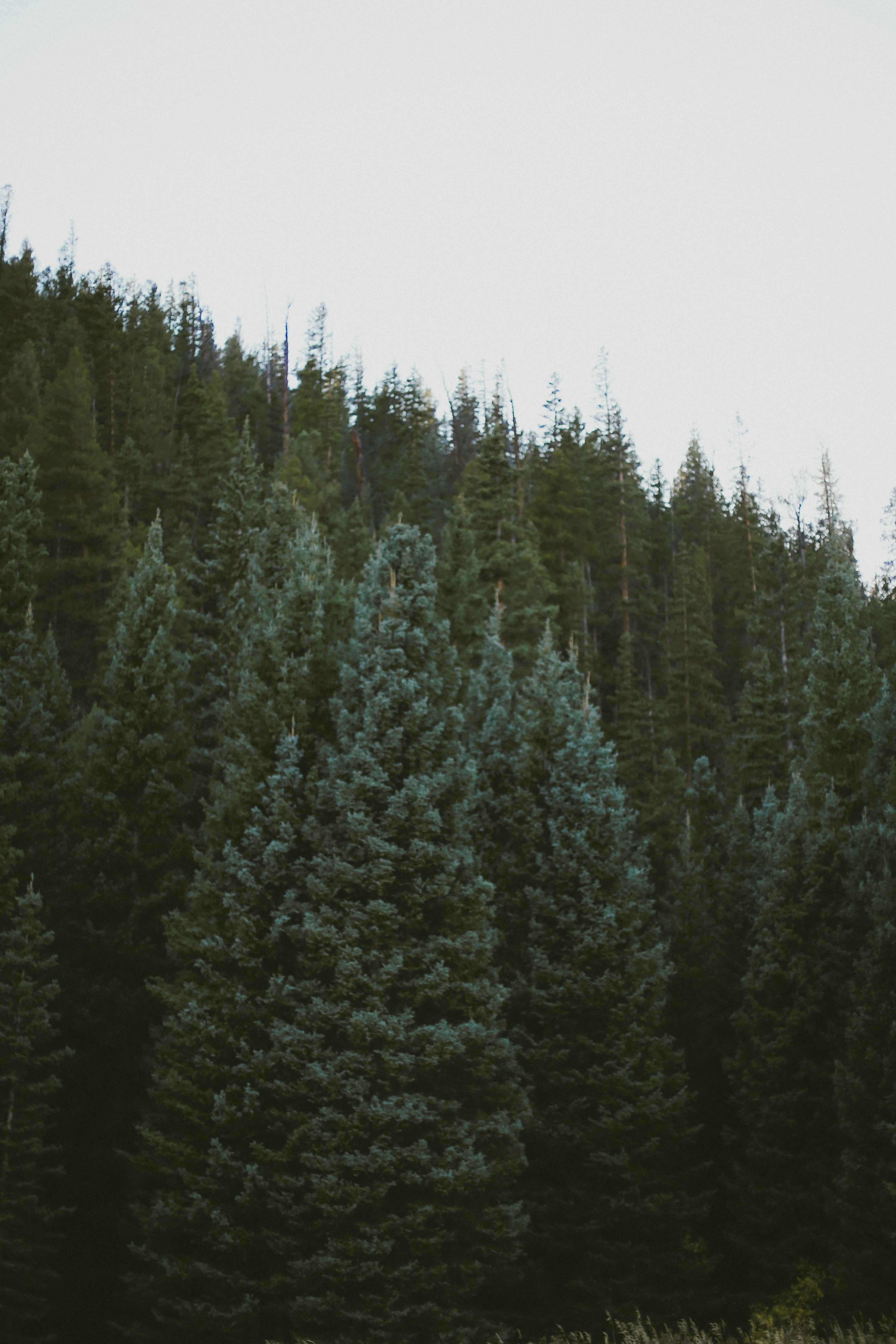 Photo by jessicalfadel