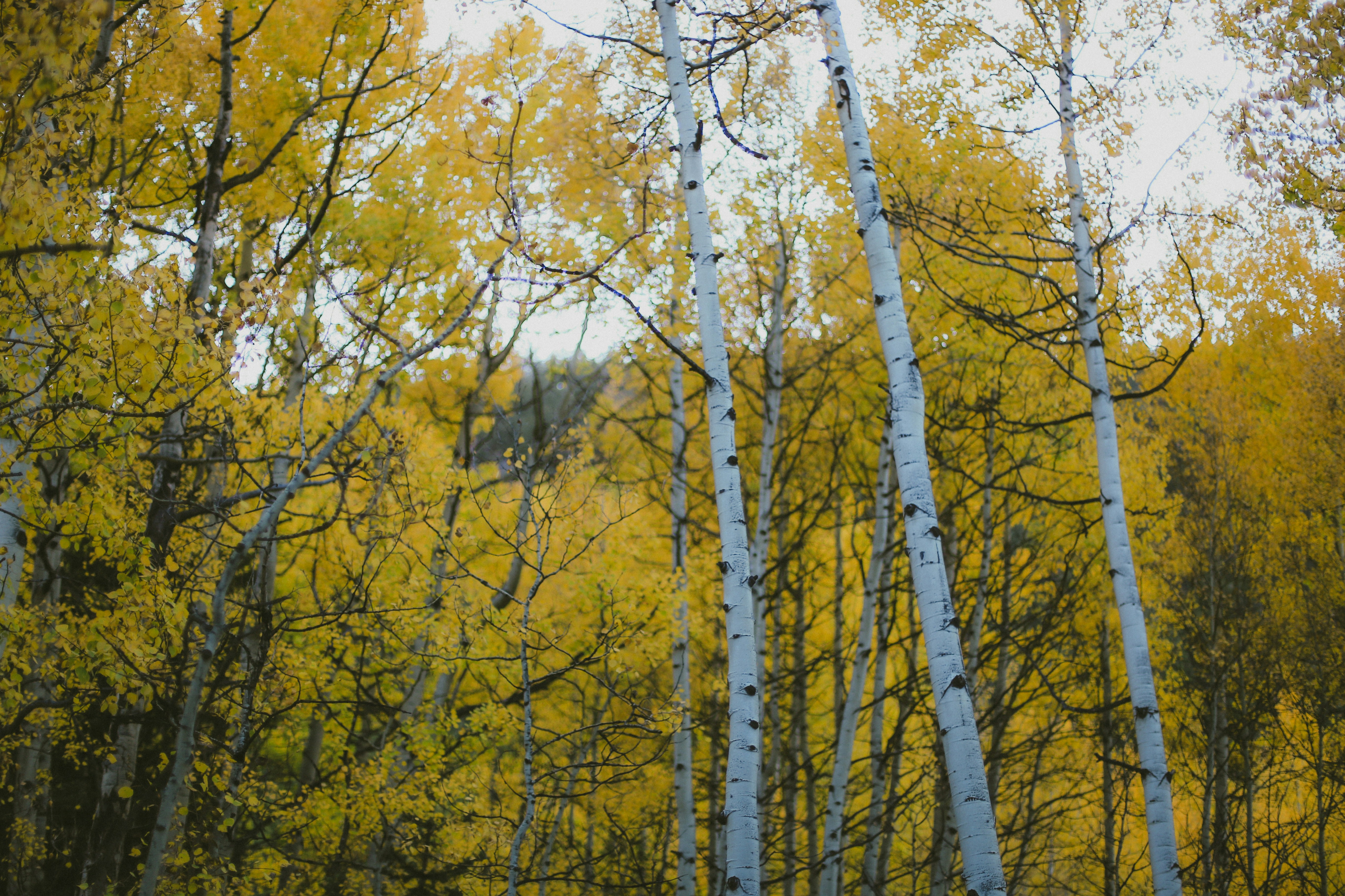 Photo by jessicalfadel