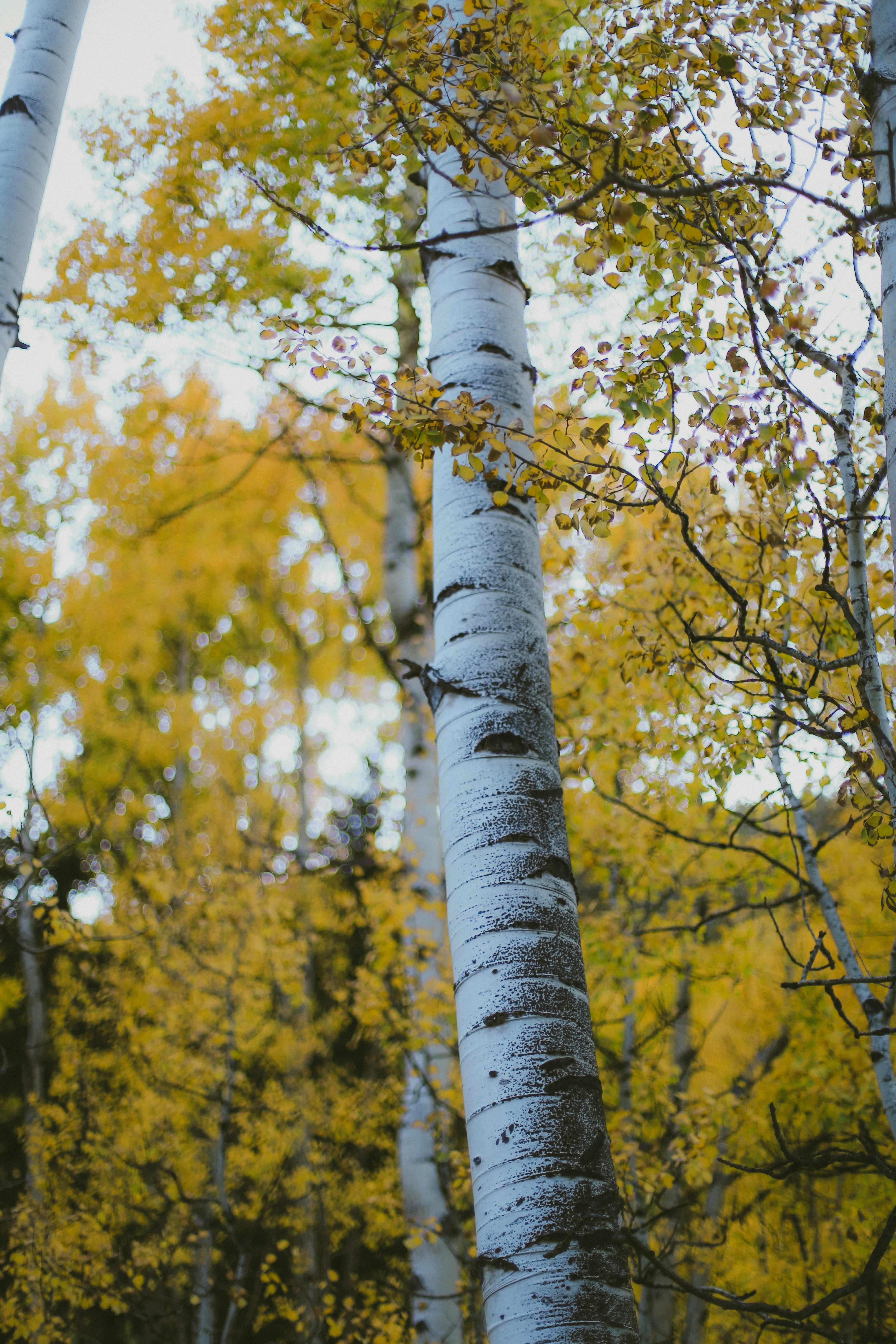 Photo by jessicalfadel