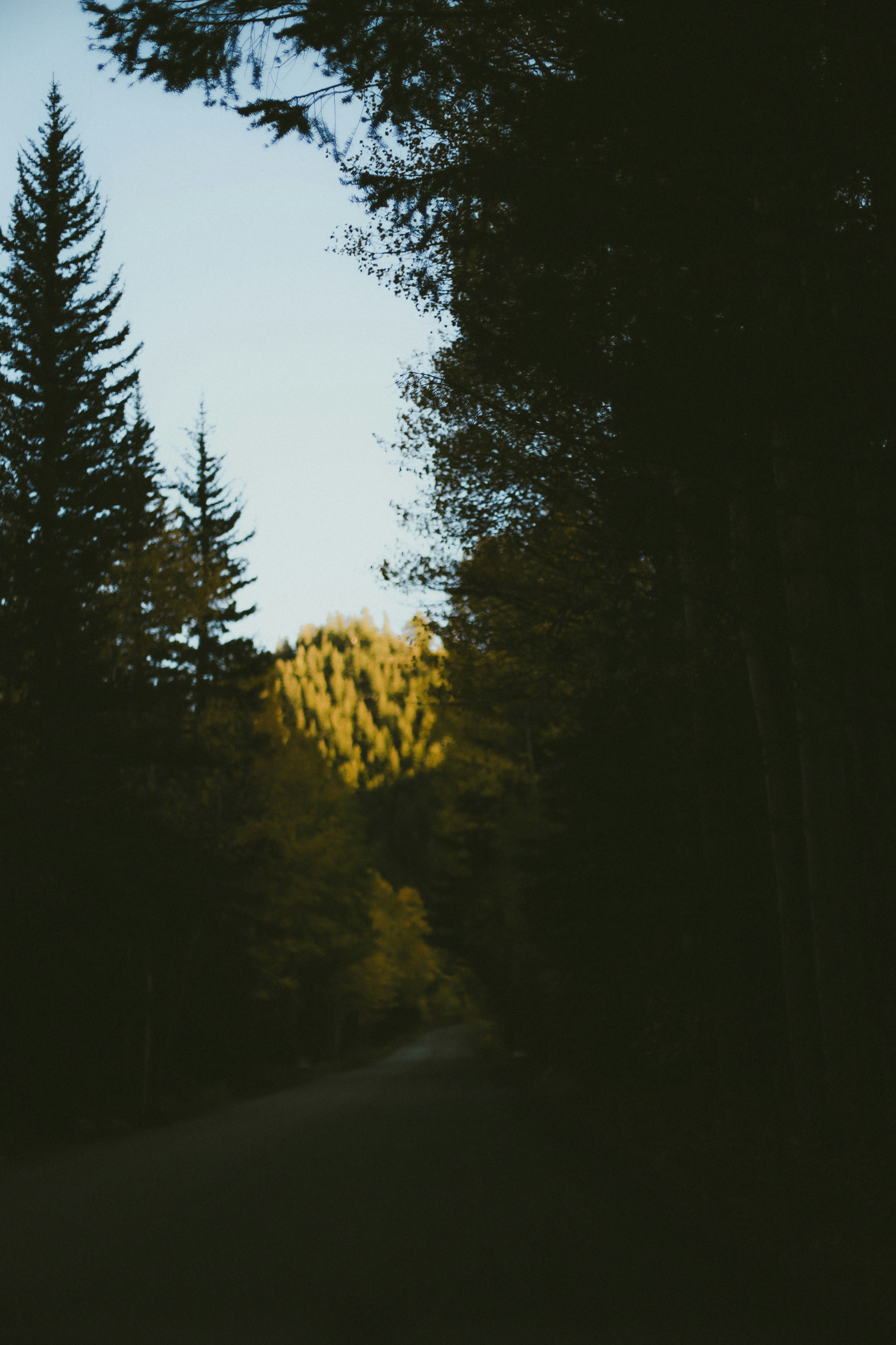 Photo by jessicalfadel