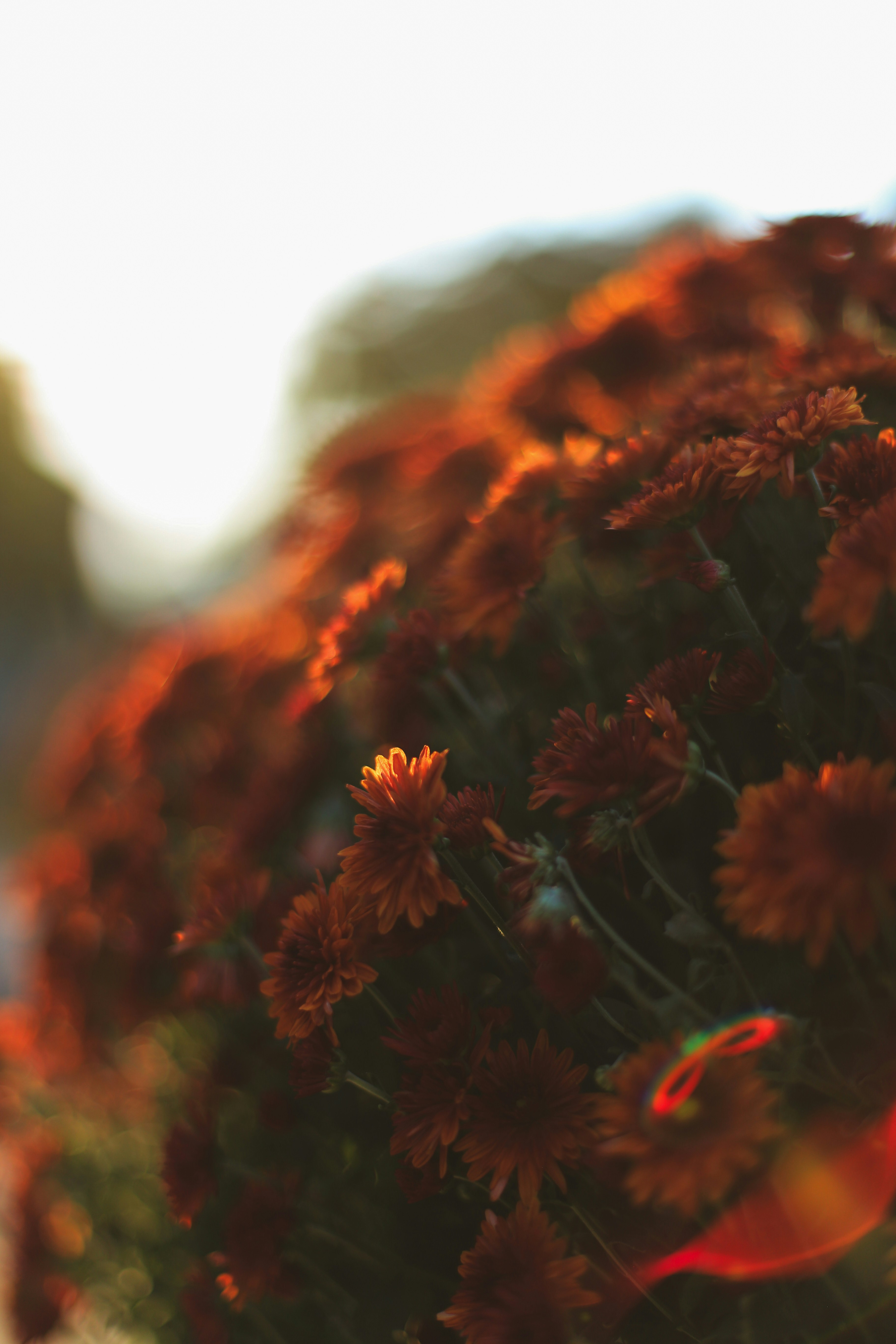 Photo by jessicalfadel