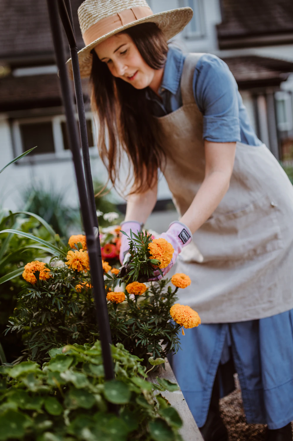Woman in an apron tending to flowers