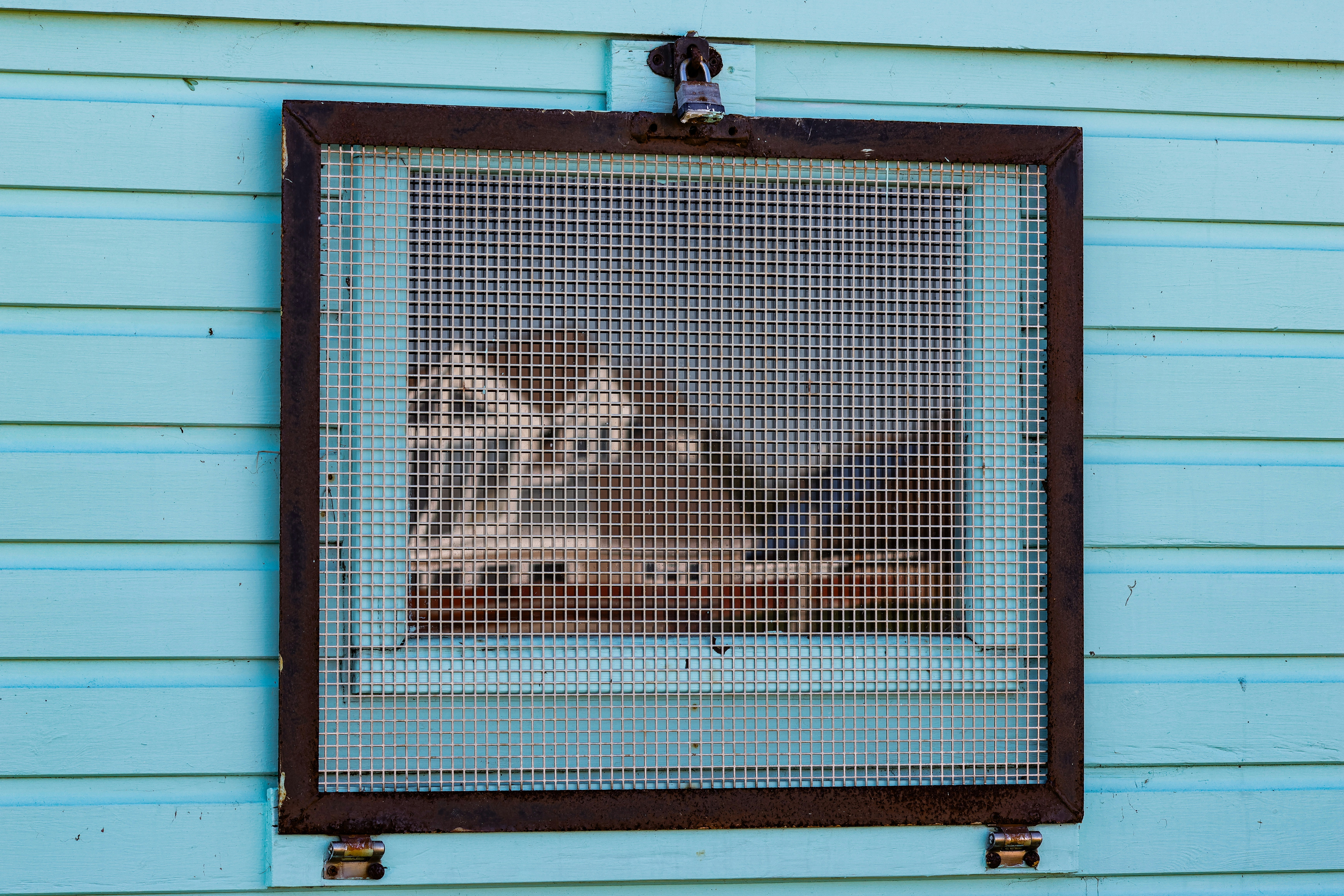 Cost-saving tips for window film installation