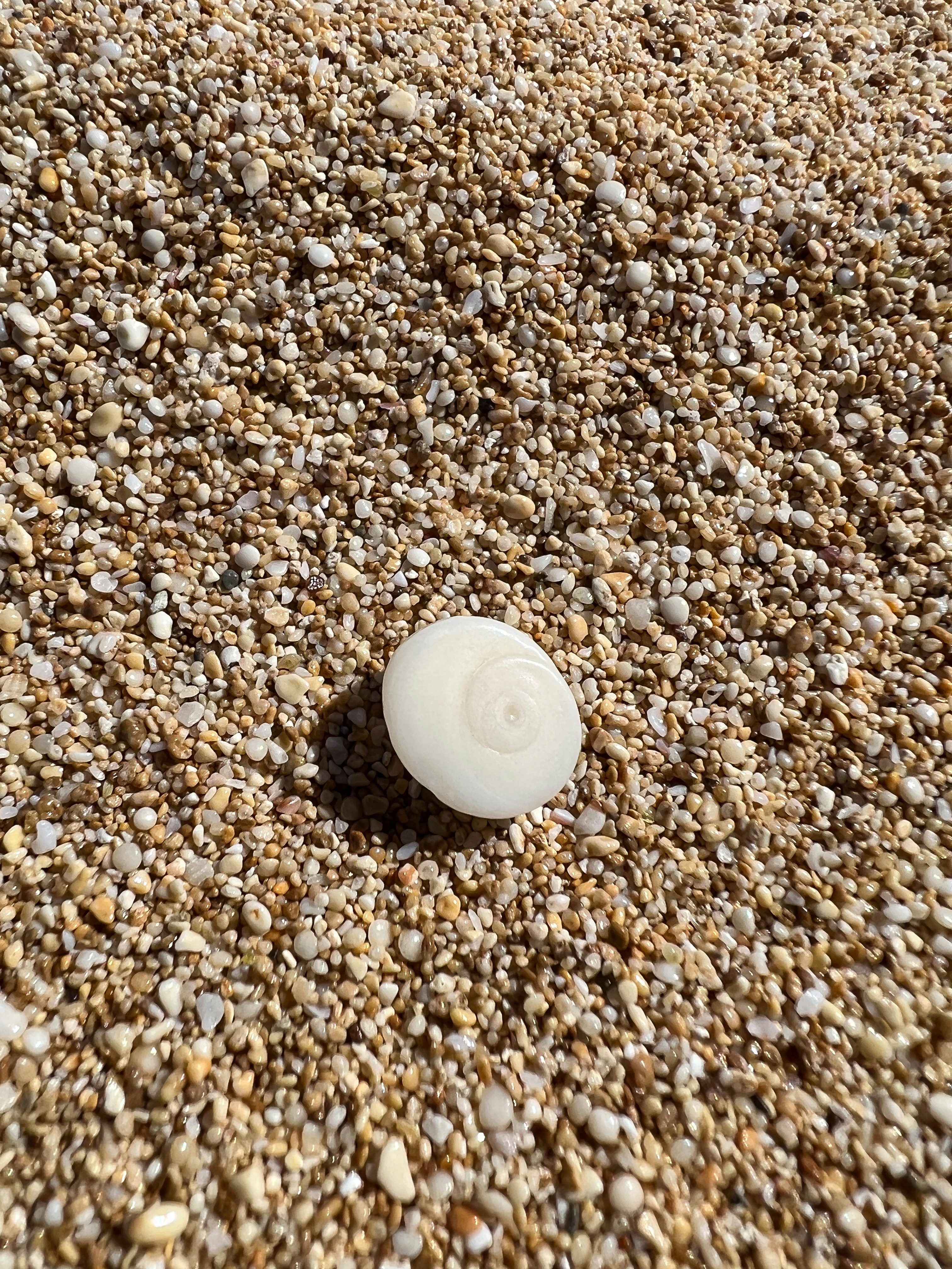 Photo by brandialxndra