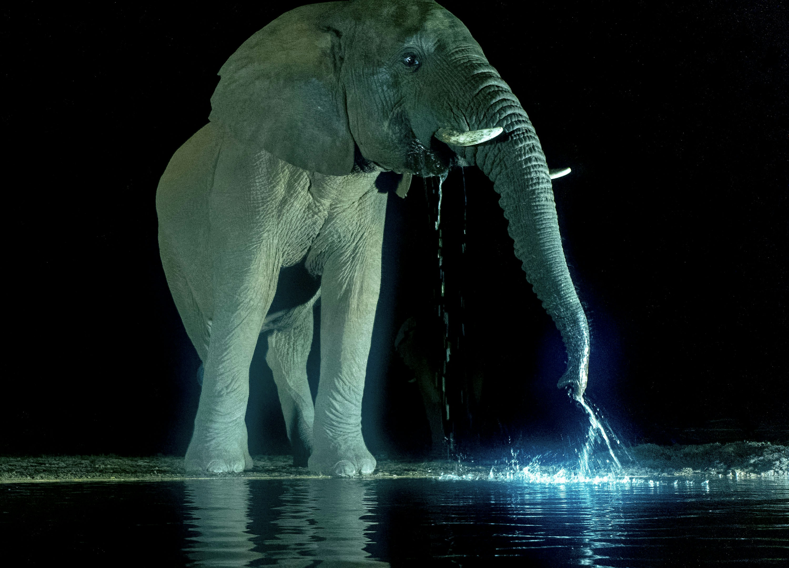 블루엘리펀트 젠틀몬스터 비교 및 안경 피팅 후기 이미지1