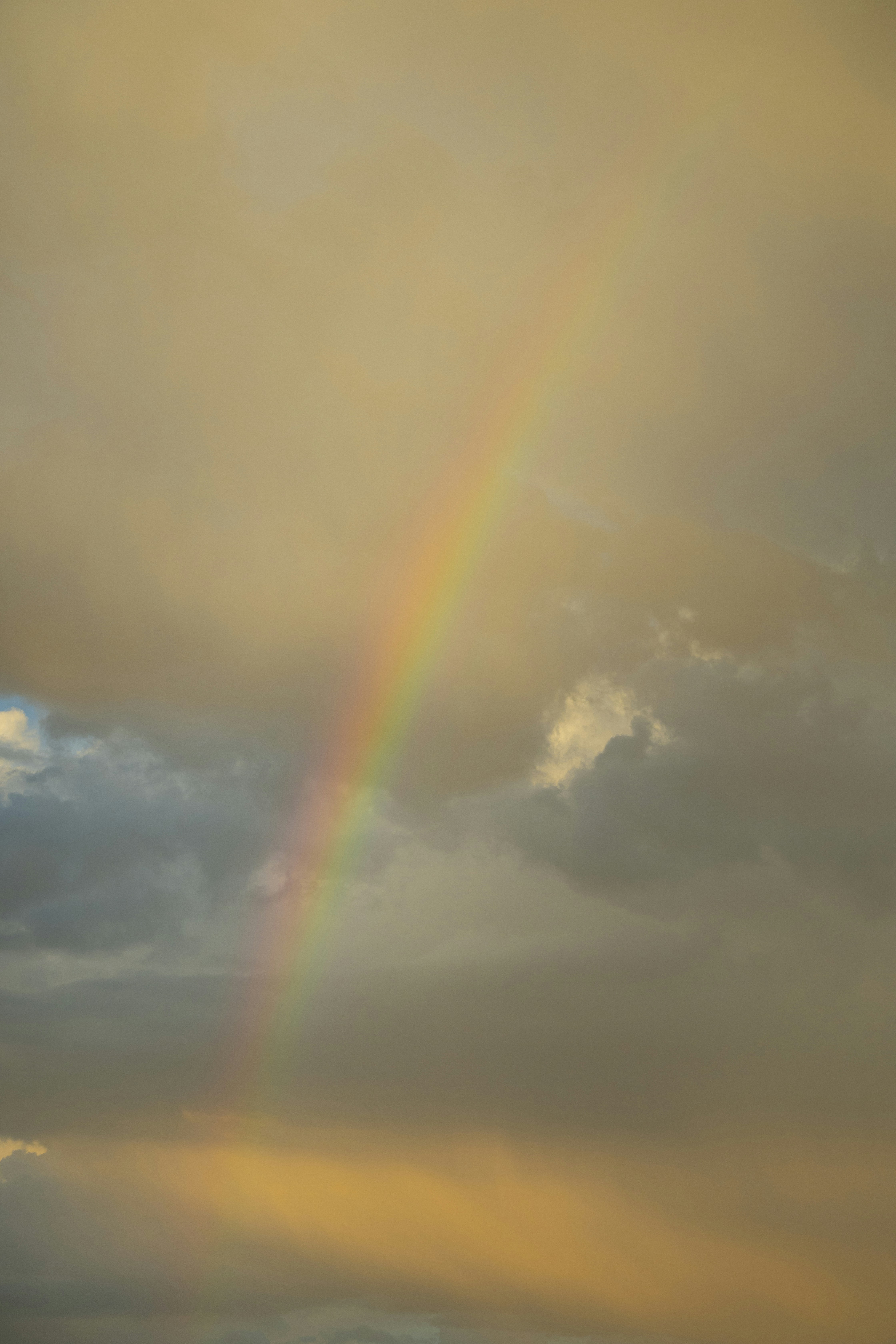 Photo by leo_visions_