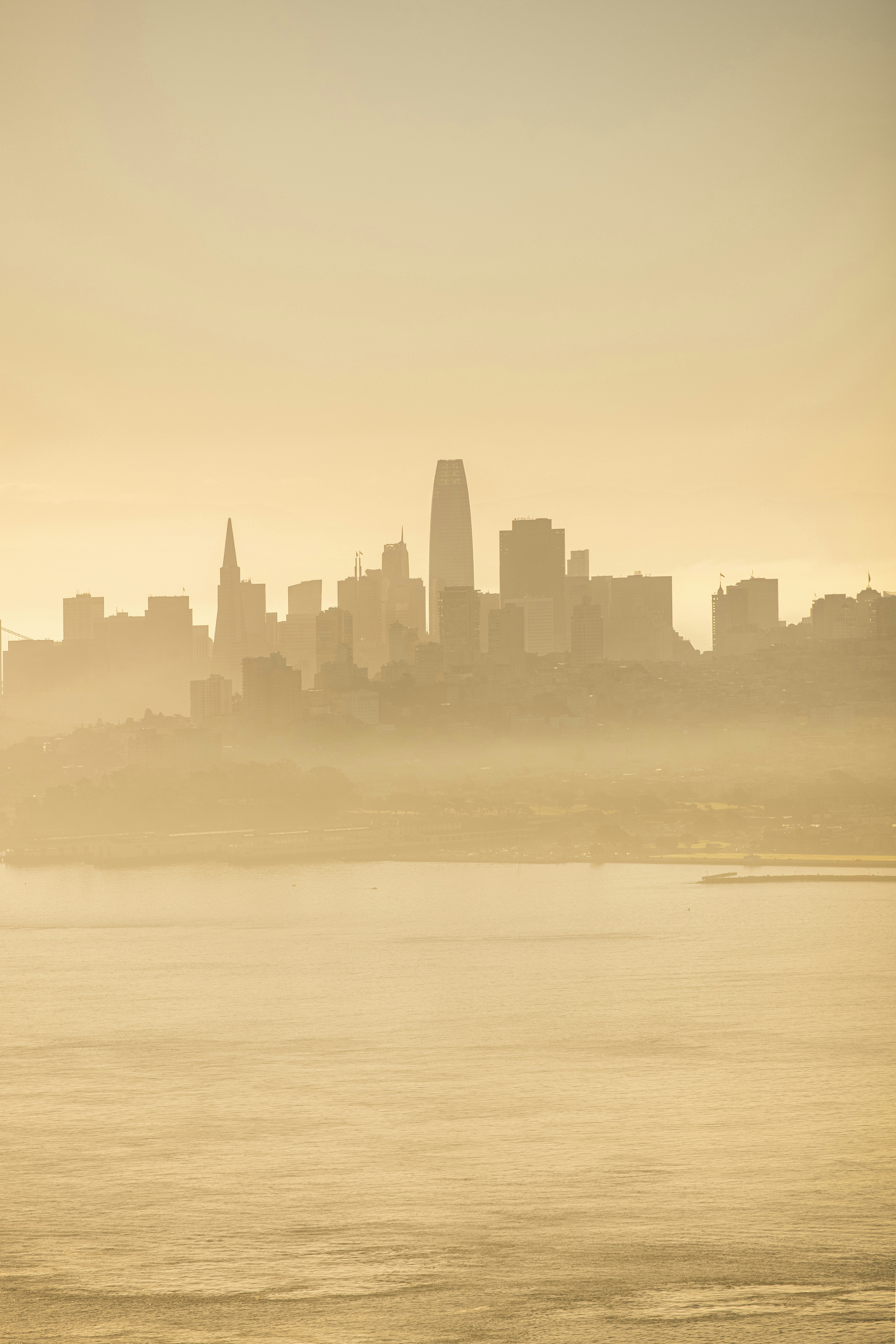 Photo by leo_visions_