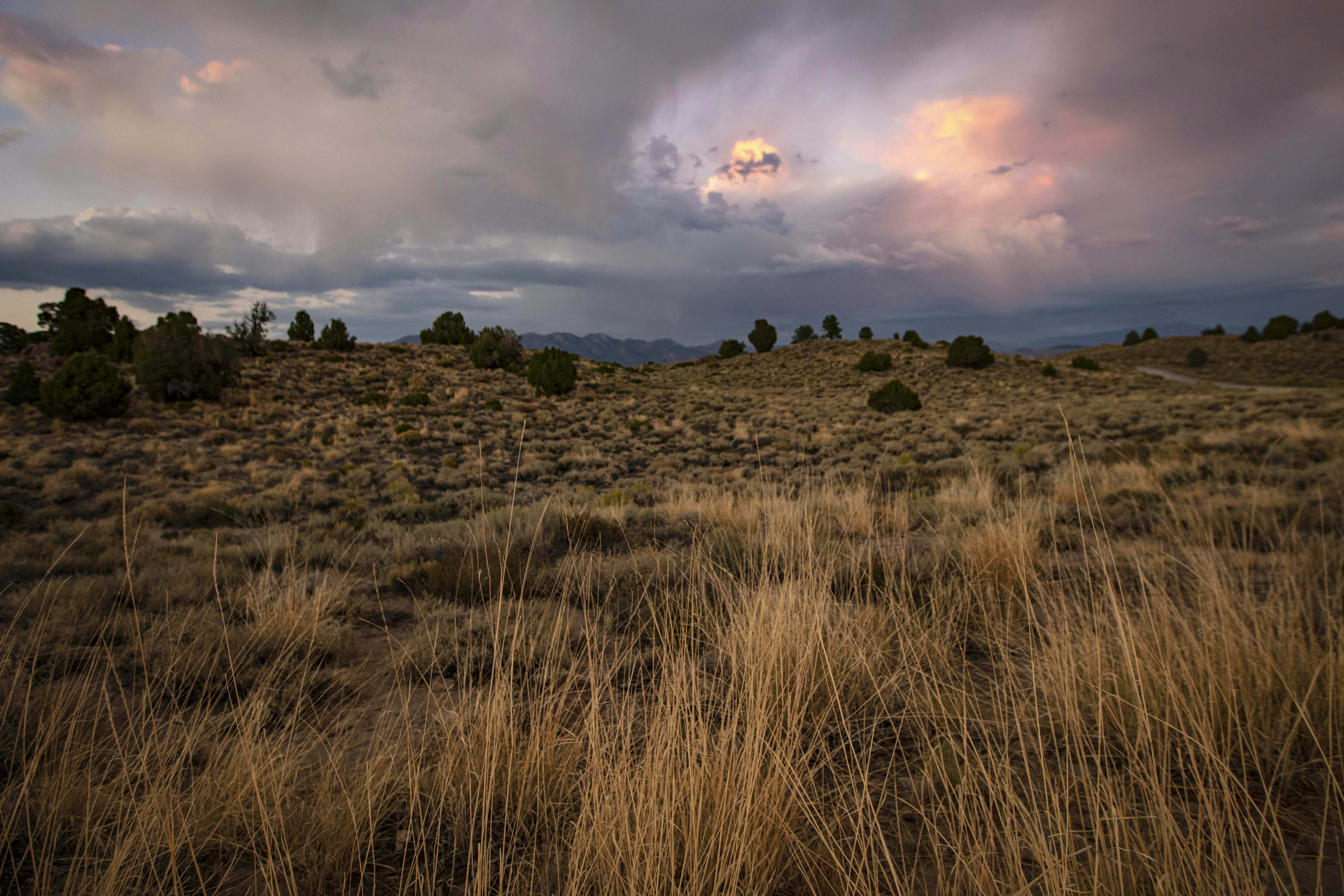 Photo by leo_visions_