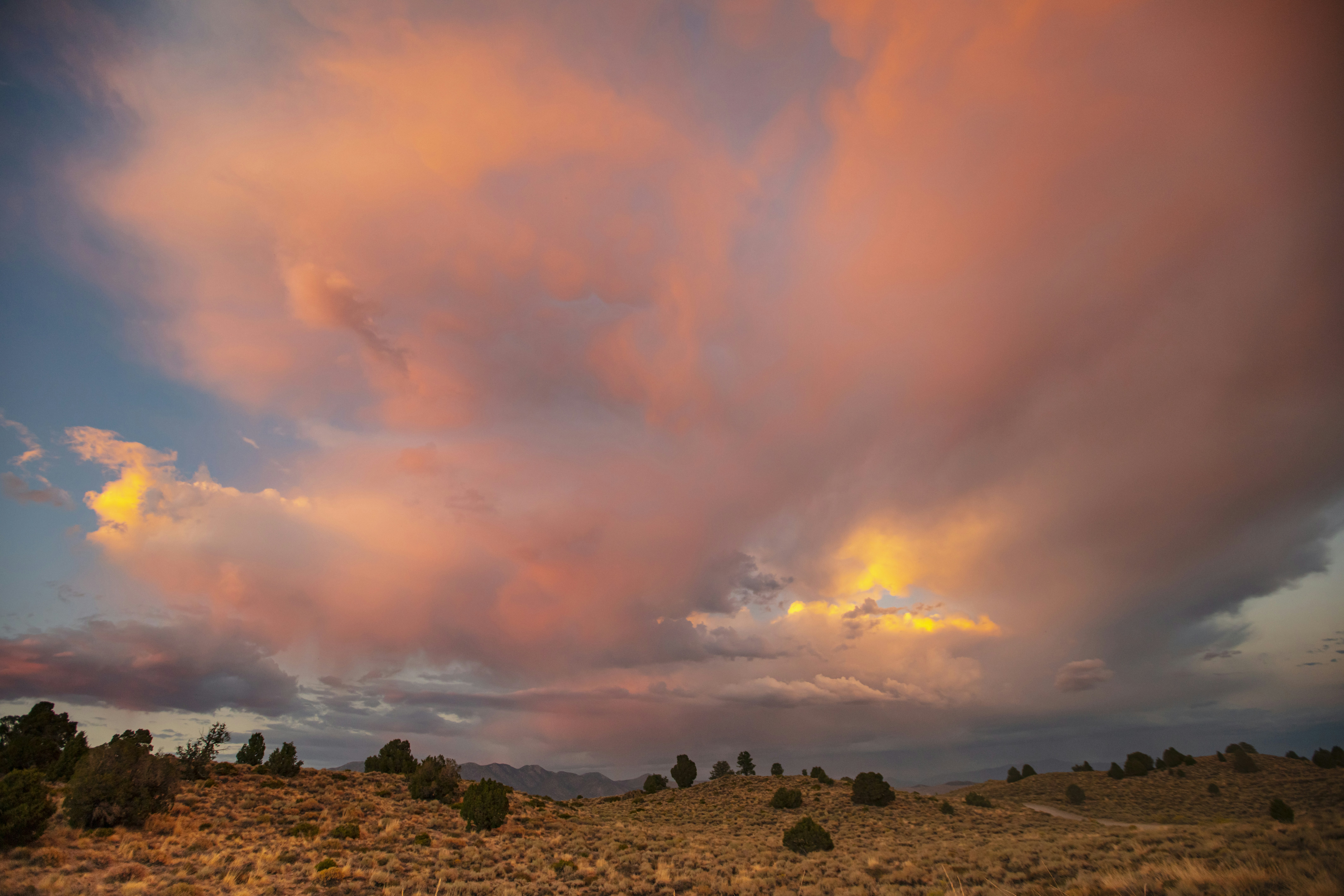 Photo by leo_visions_