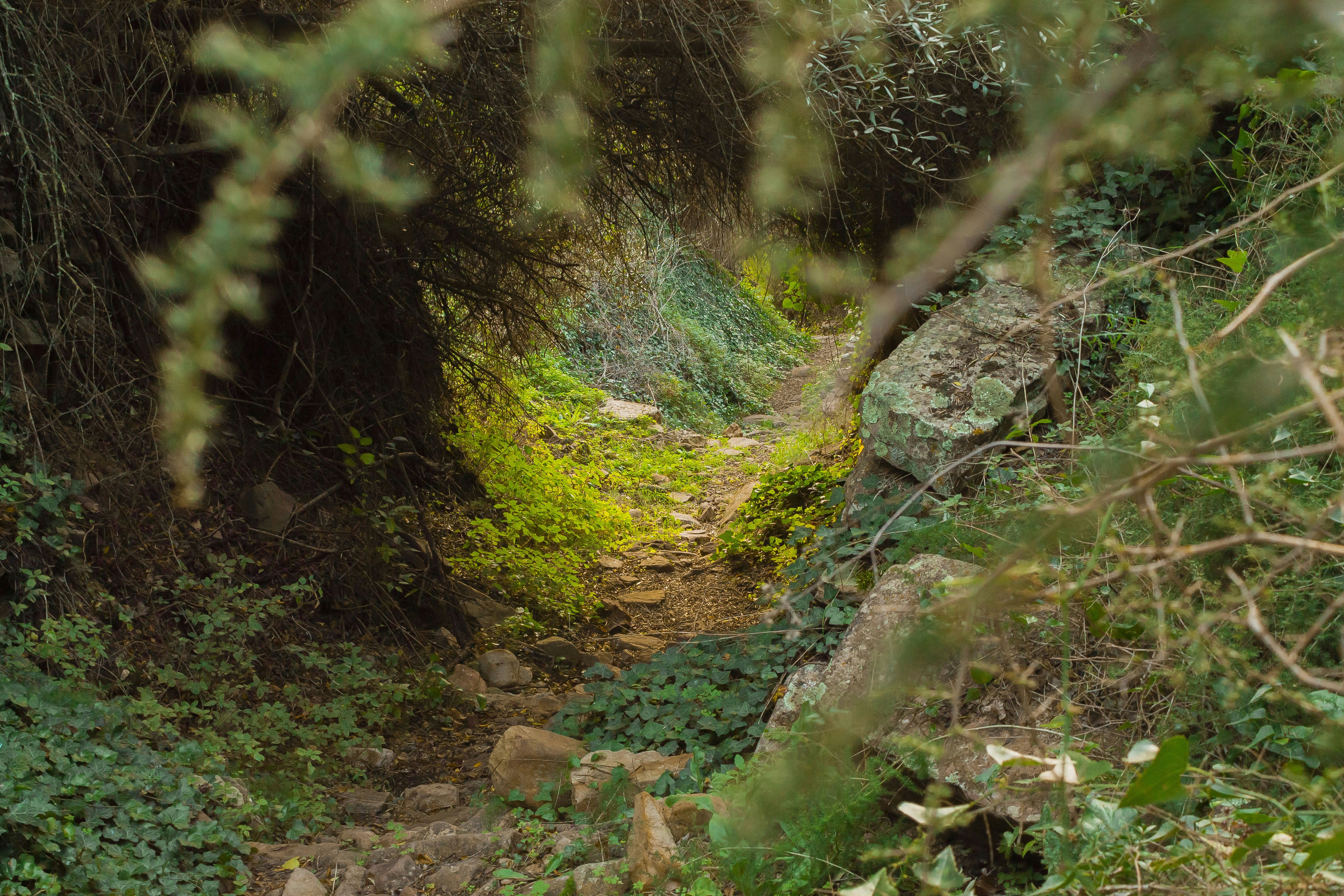 Photo by luztakesmoments