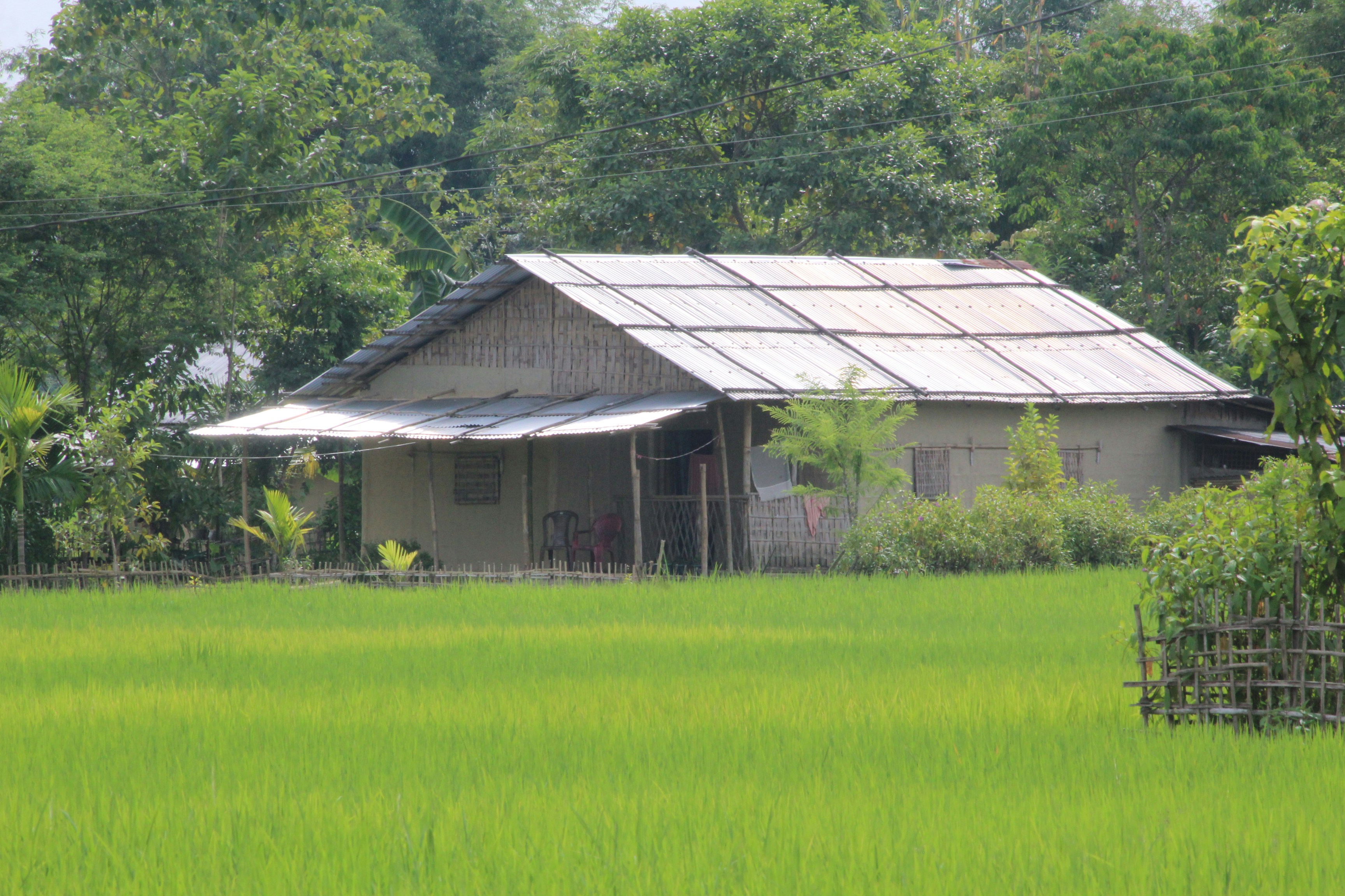 Photo by artistic_nexus