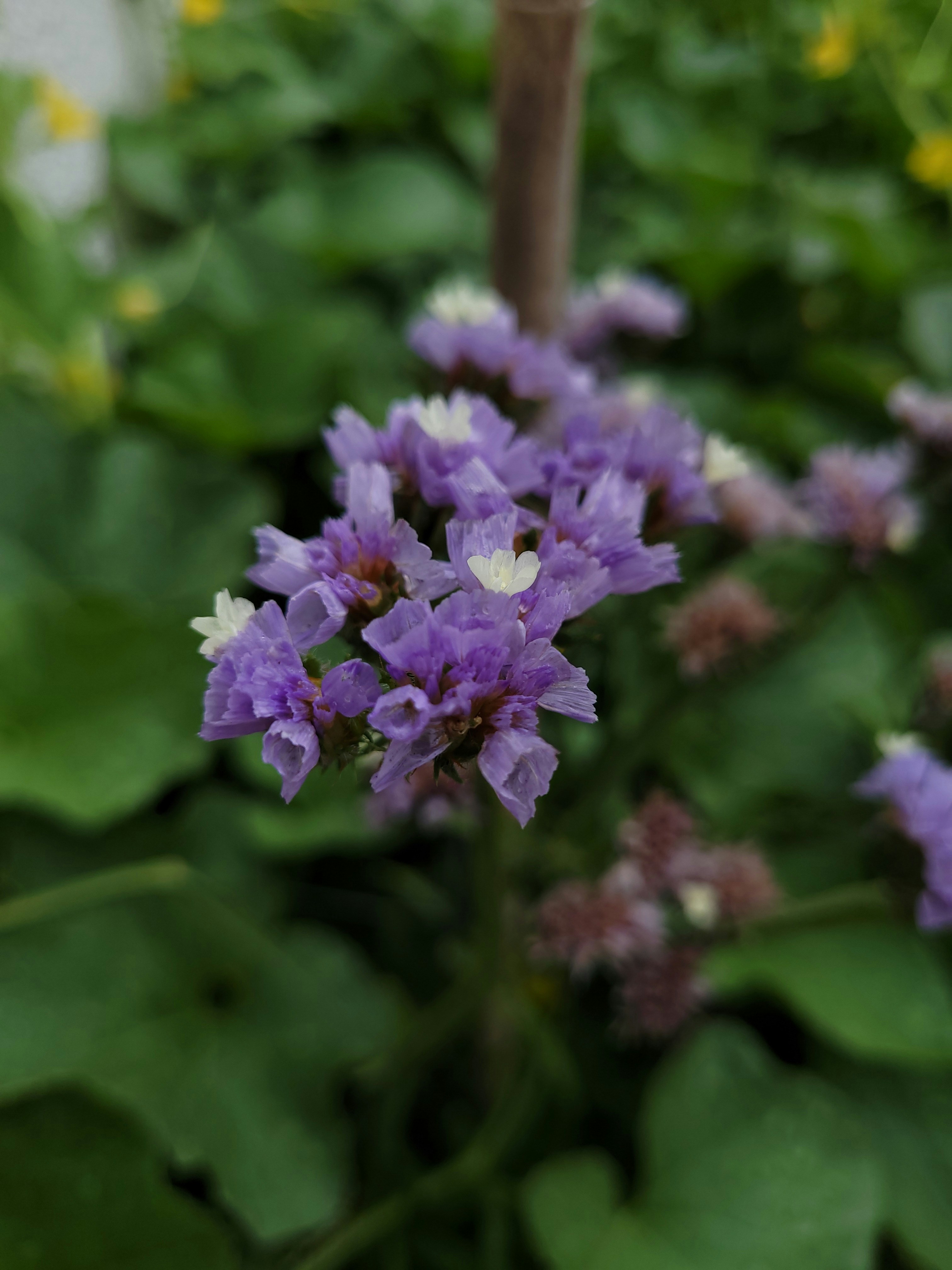 Photo by lisakvictor