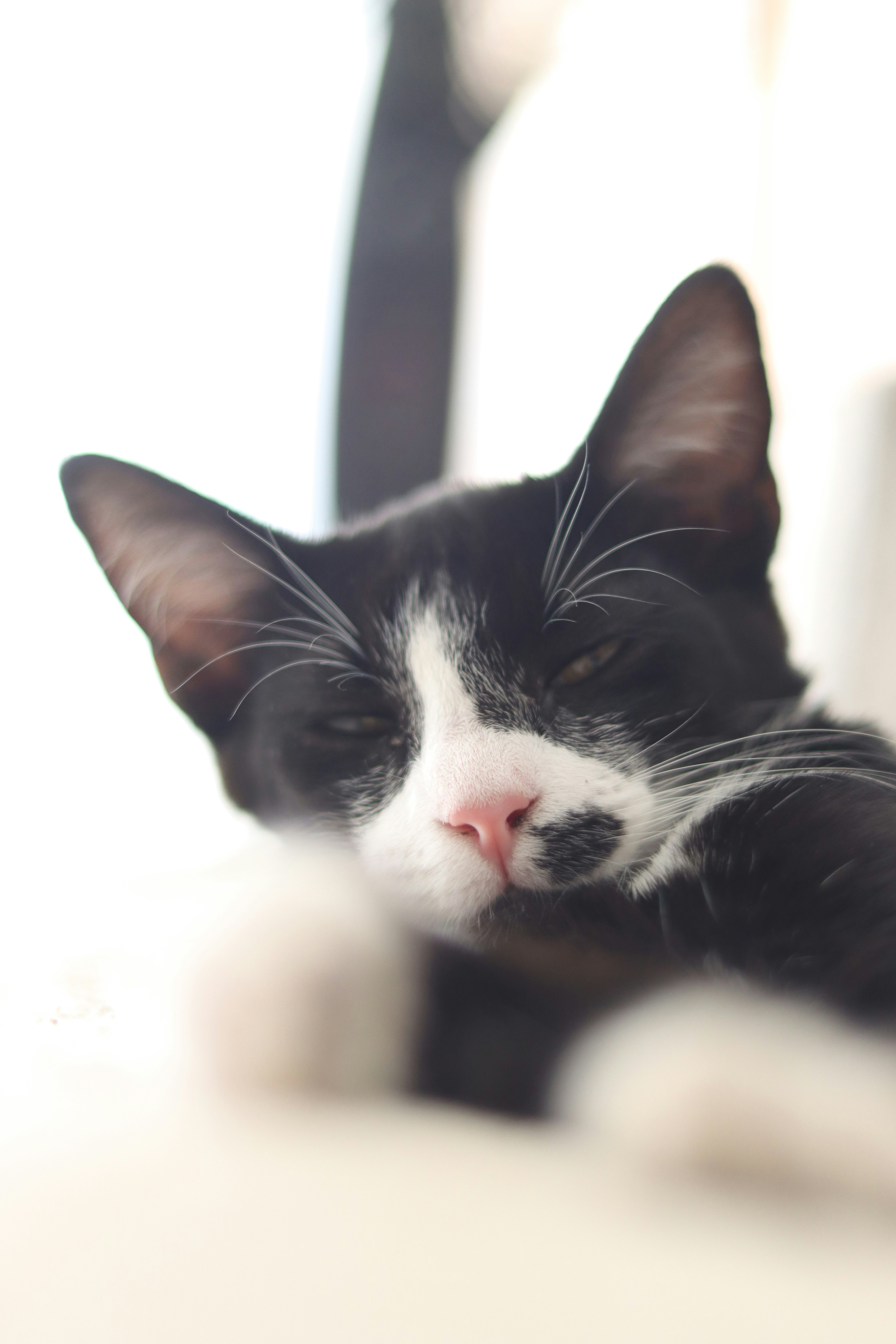 Photo by lisakvictor