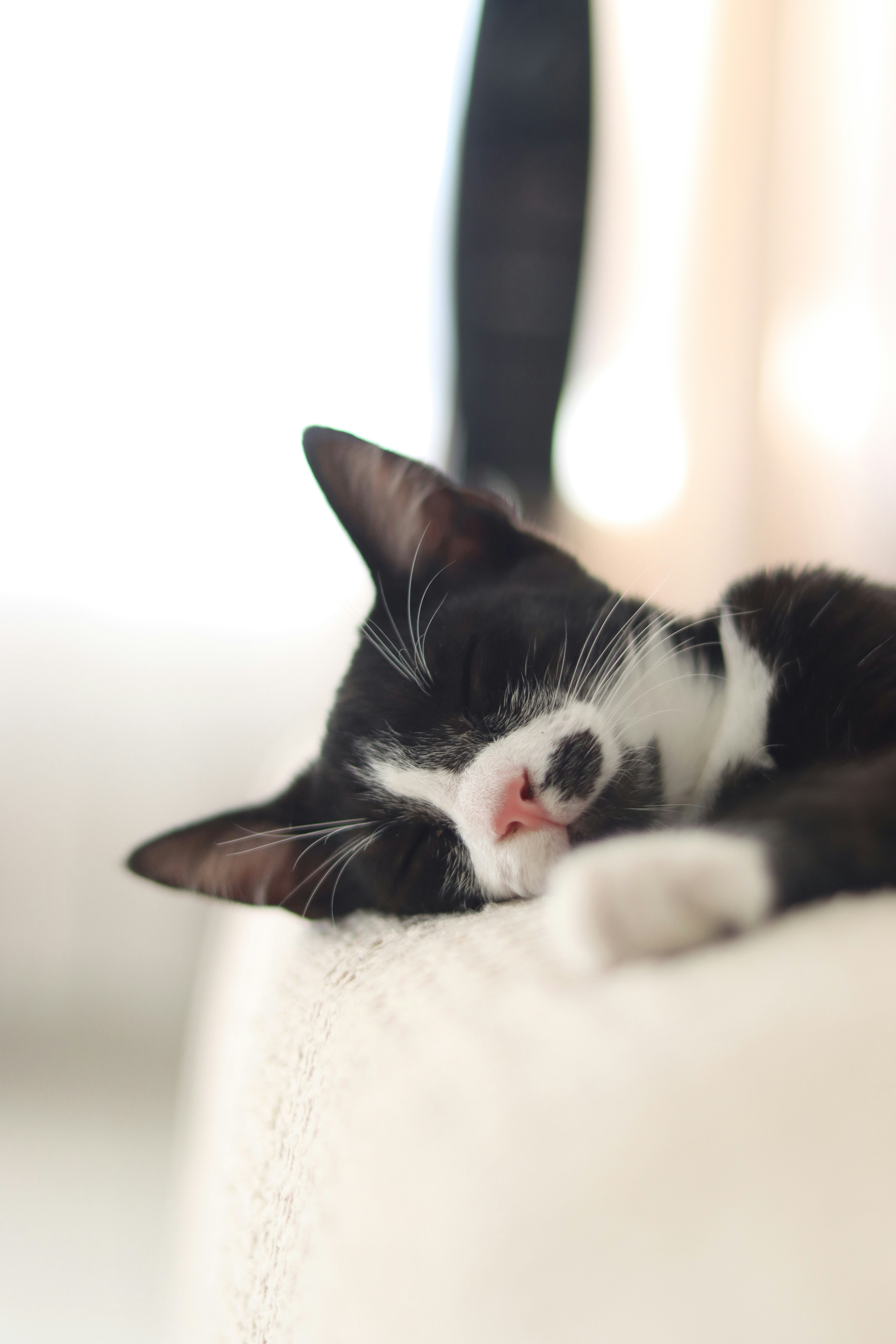 Photo by lisakvictor